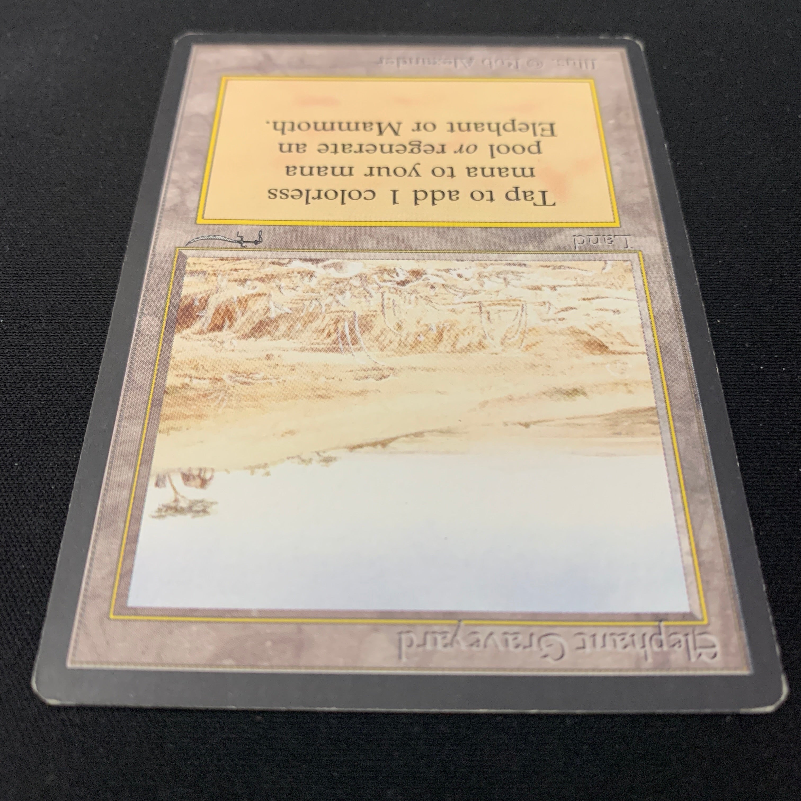 MTG Singles - Elephant Graveyard - Arabian Nights - 