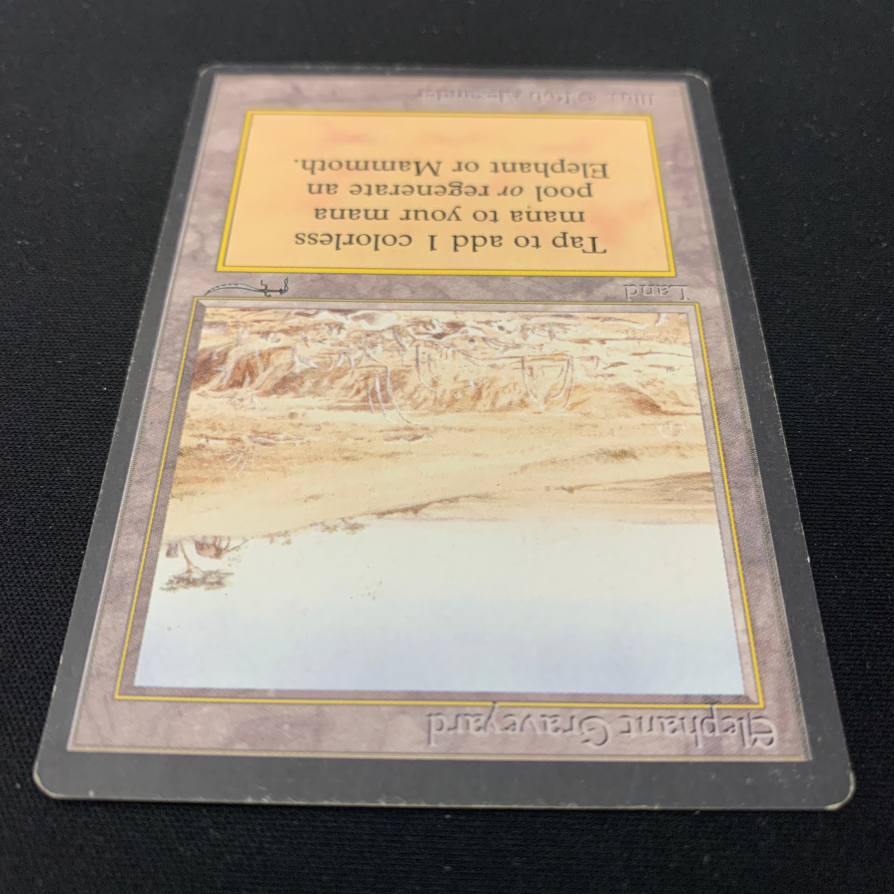 MTG Singles - Elephant Graveyard - Arabian Nights - 