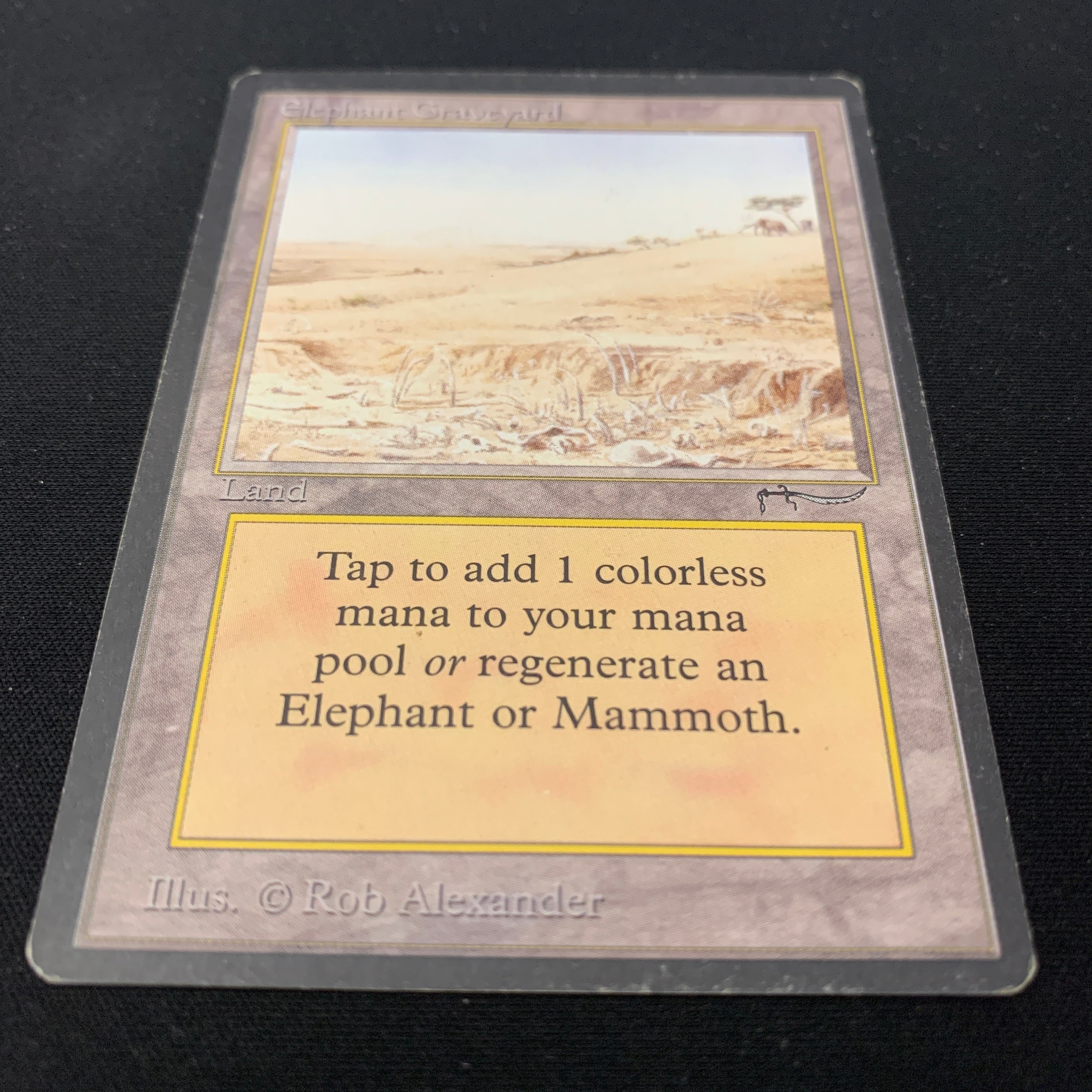 MTG Singles - Elephant Graveyard - Arabian Nights - 
