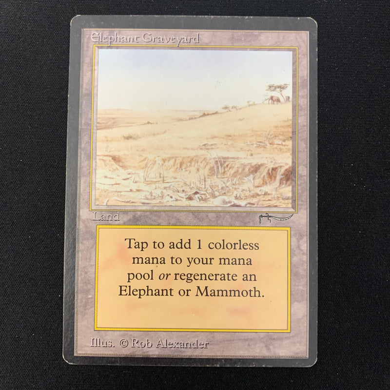 Magic the Gathering Elephant Graveyard - Arabian Nights 