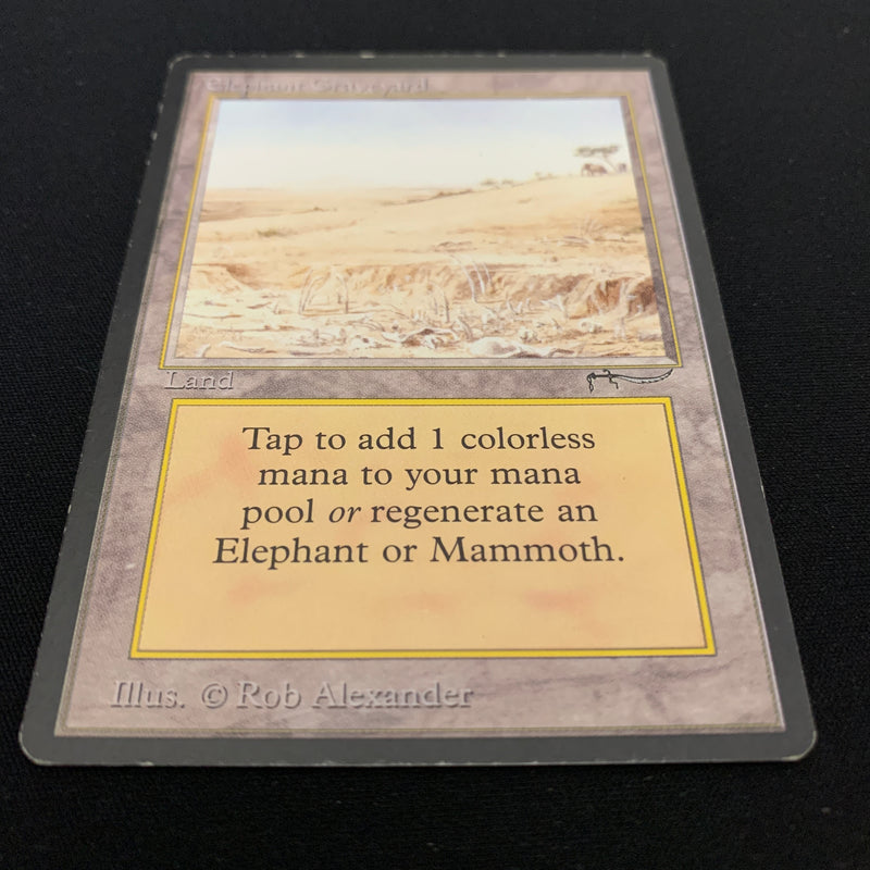 Magic the Gathering Elephant Graveyard - Arabian Nights 