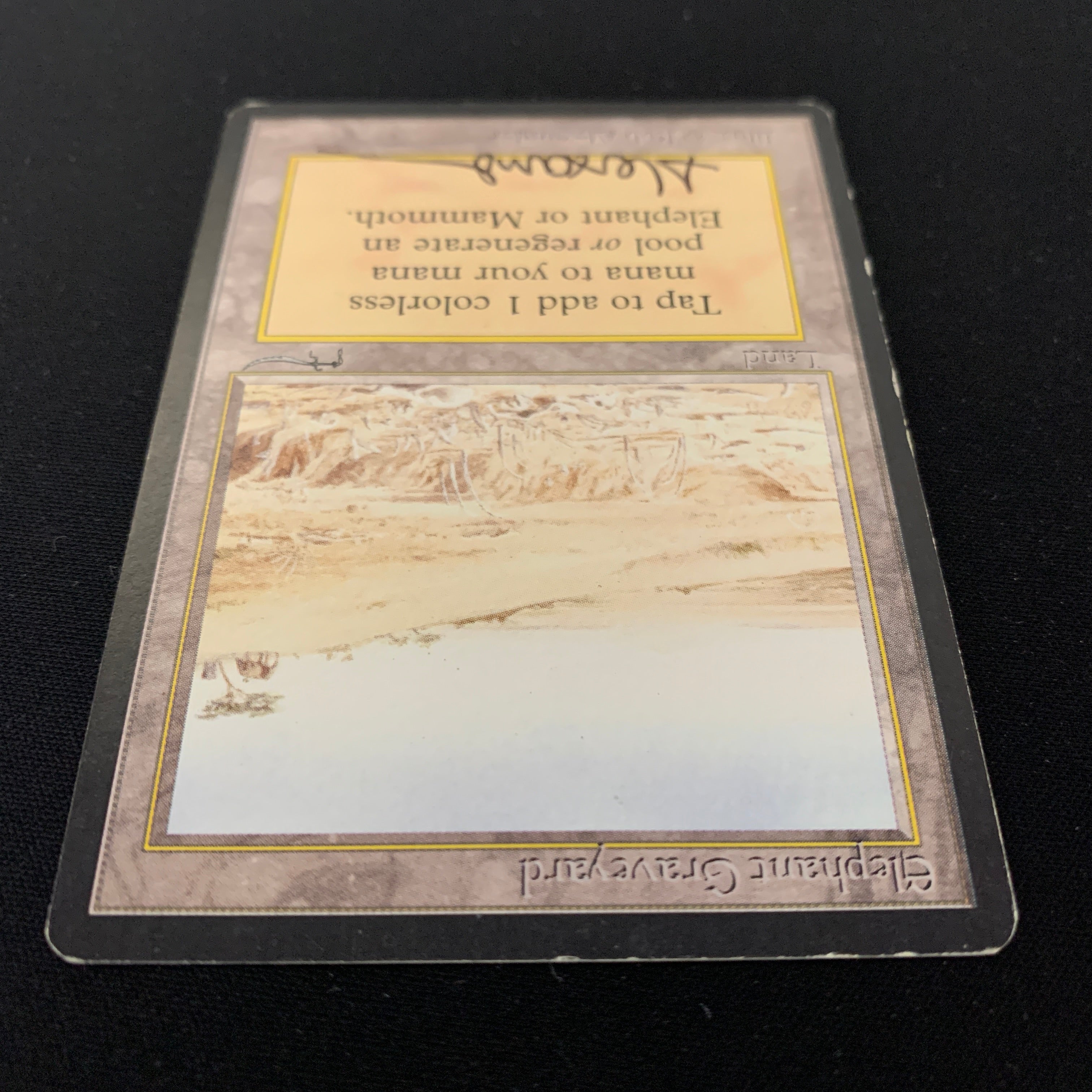 MTG Singles - Elephant Graveyard - Arabian Nights - 