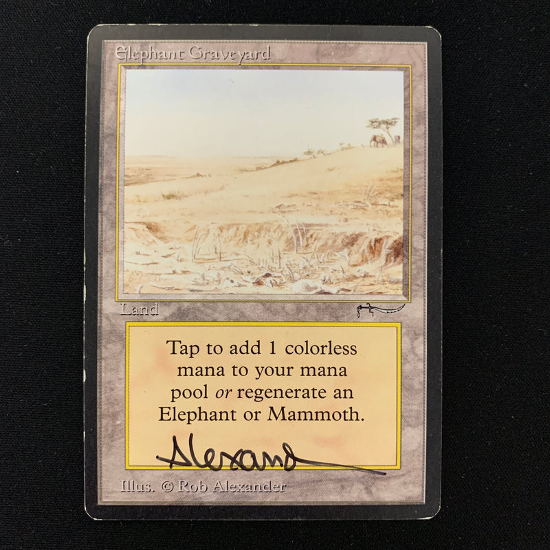 Magic the Gathering Elephant Graveyard - Arabian Nights LP - SIGNED - 24193