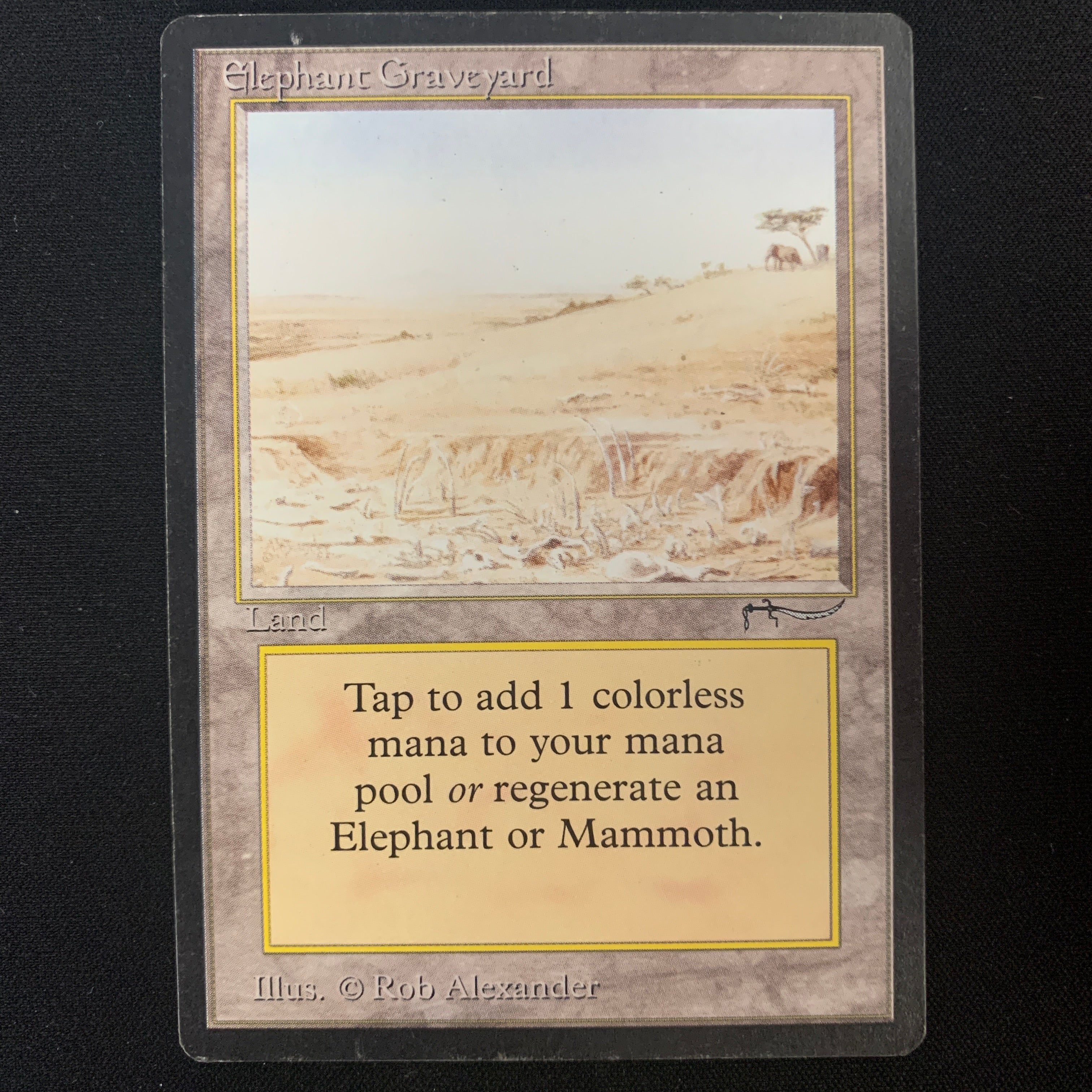 MTG Singles - Elephant Graveyard - Arabian Nights - 