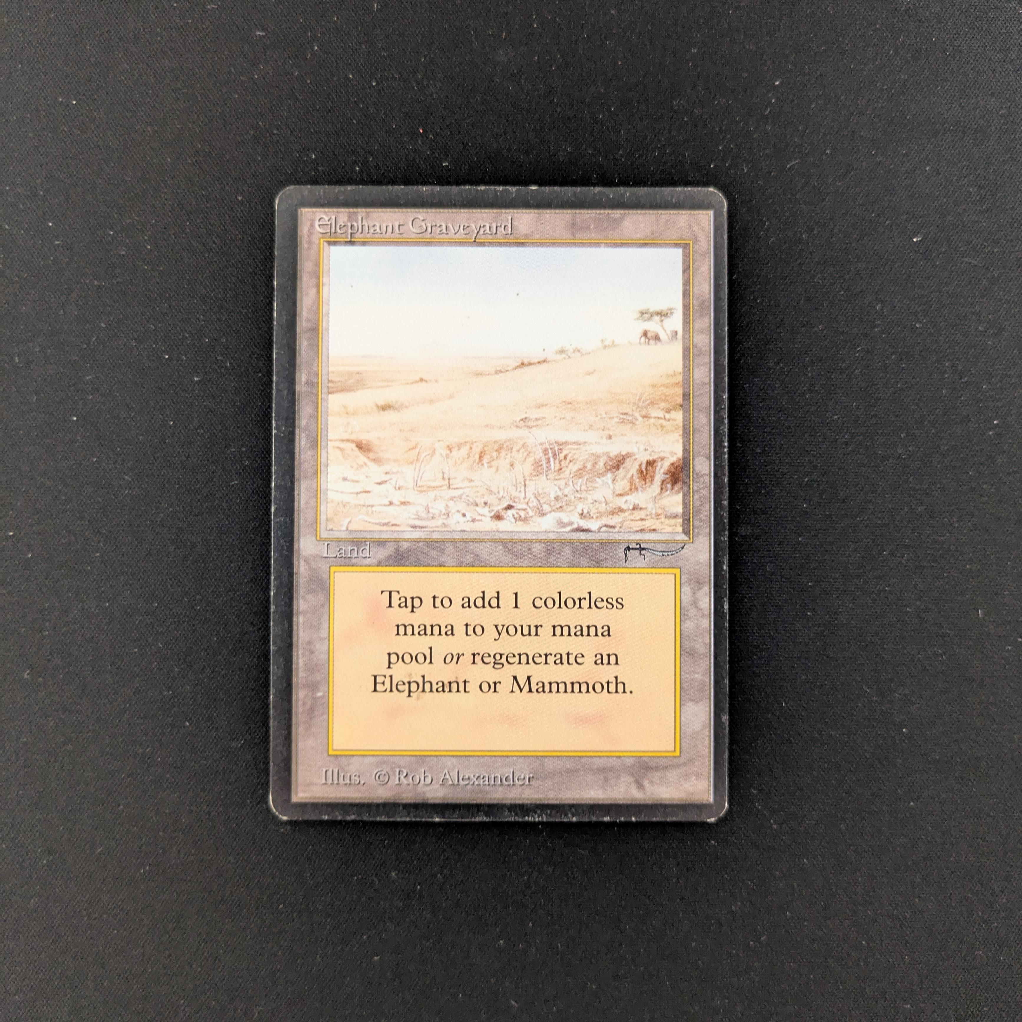 MTG Singles - Elephant Graveyard - Arabian Nights - 