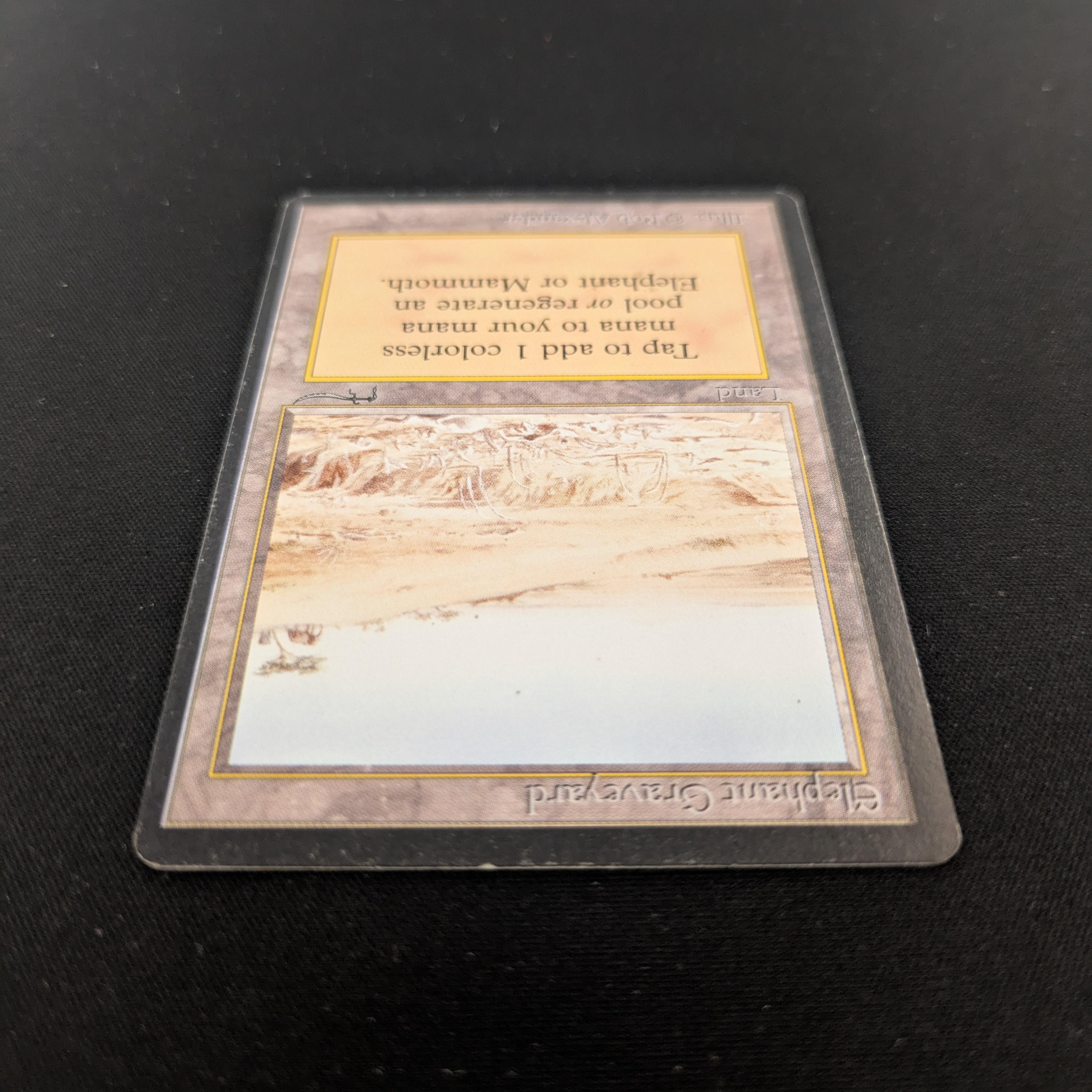 MTG Singles - Elephant Graveyard - Arabian Nights - 