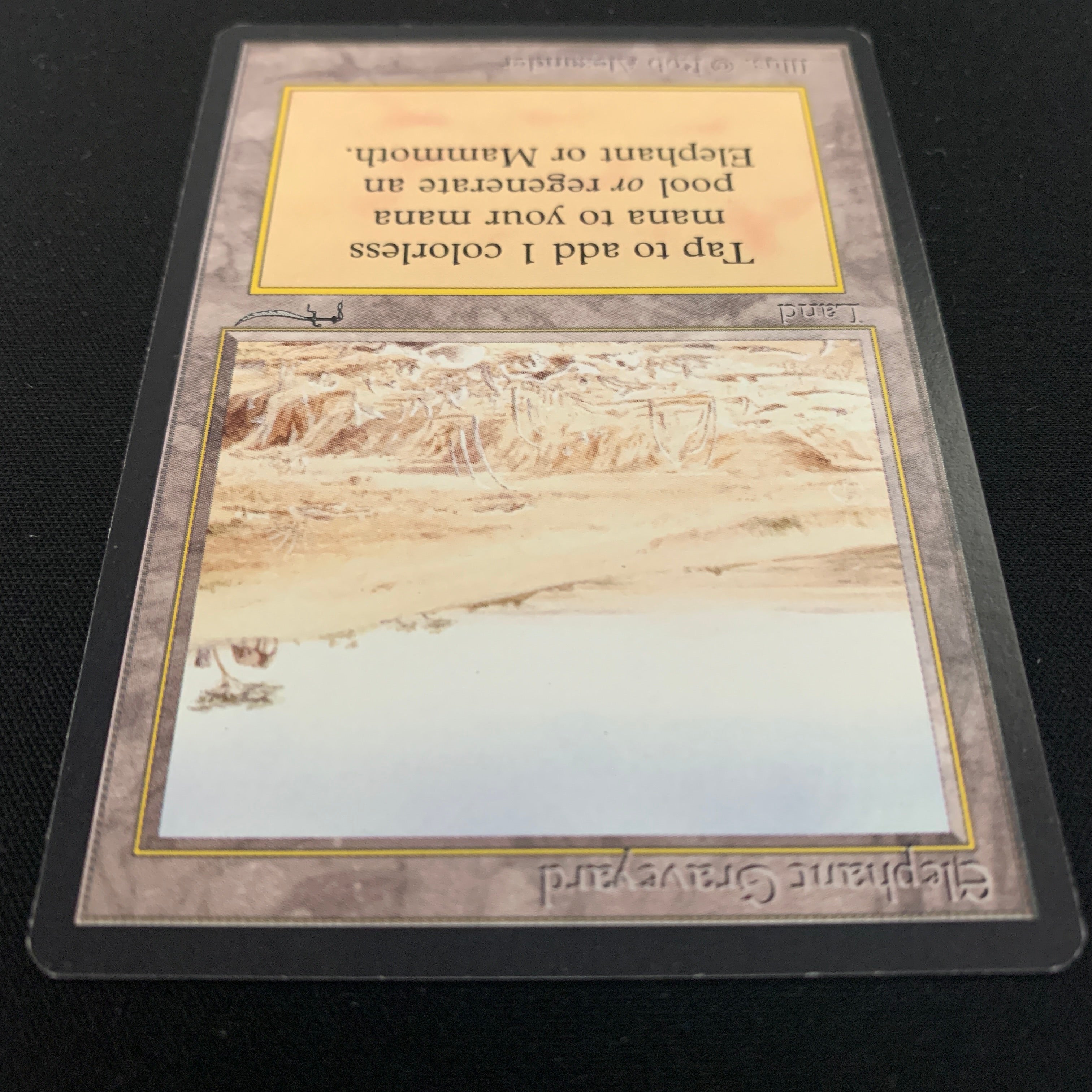 MTG Singles - Elephant Graveyard - Arabian Nights - 