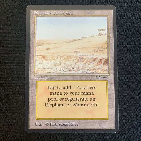 Magic the Gathering Elephant Graveyard - Arabian Nights 