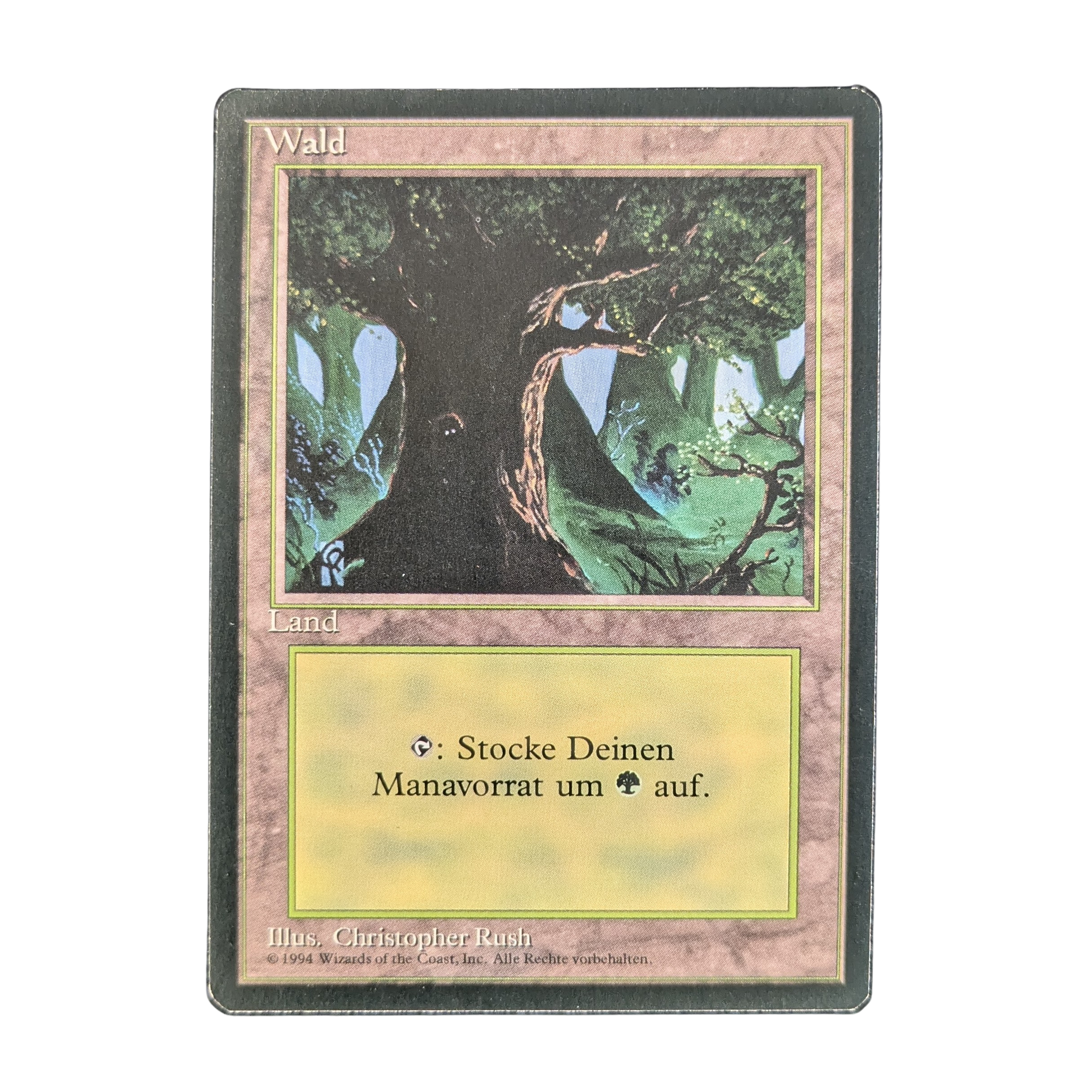 MTG Singles - Forest (V.1) - Foreign Black Bordered - German - 
