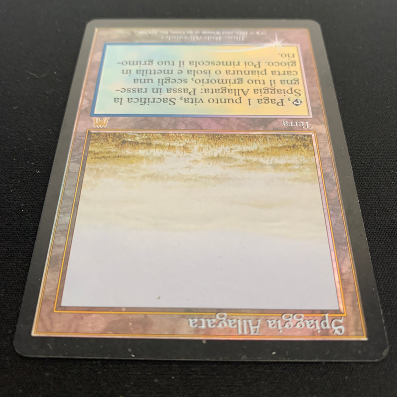 Magic the Gathering [FOIL] Flooded Strand - Onslaught - GD 