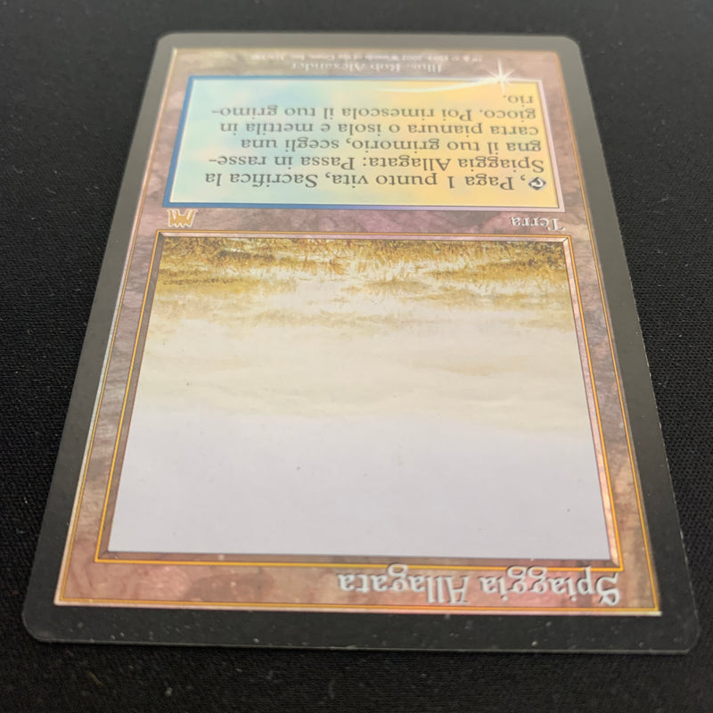 Magic the Gathering [FOIL] Flooded Strand - Onslaught - GD 