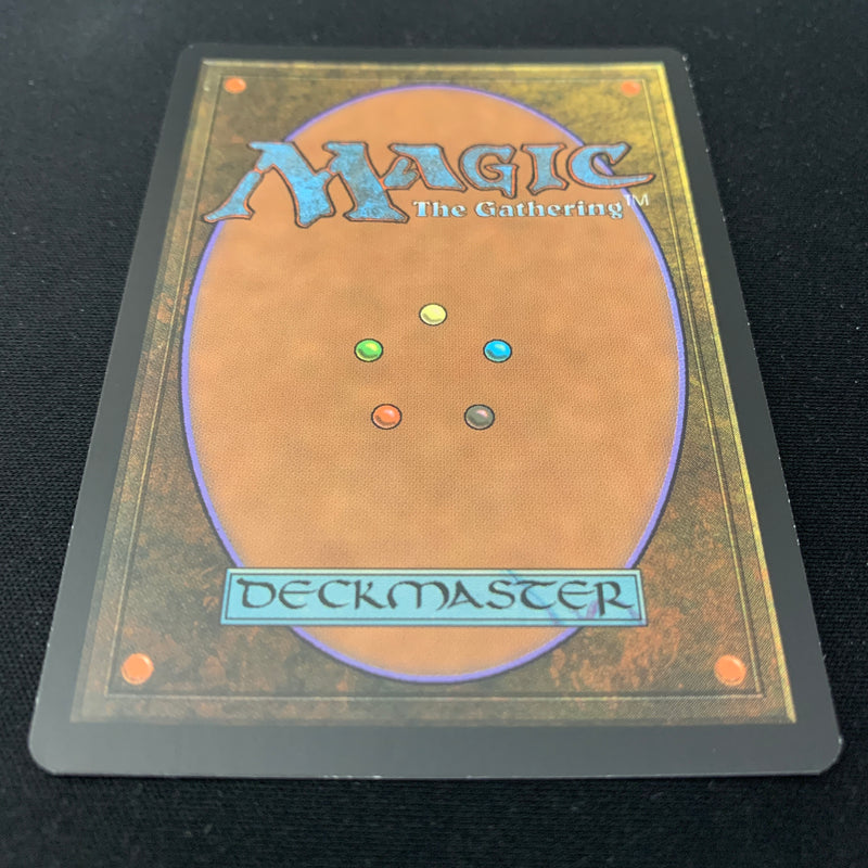 Magic the Gathering [FOIL] Flooded Strand - Zendikar Expeditions - EX 