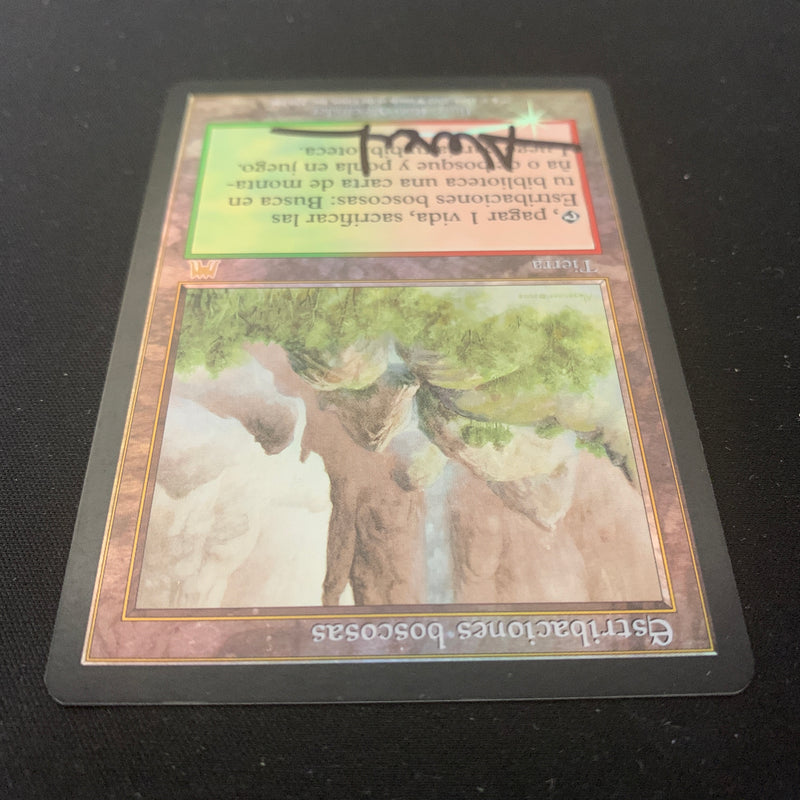 Magic the Gathering [FOIL] Wooded Foothills - Onslaught - GD, SIGNED 