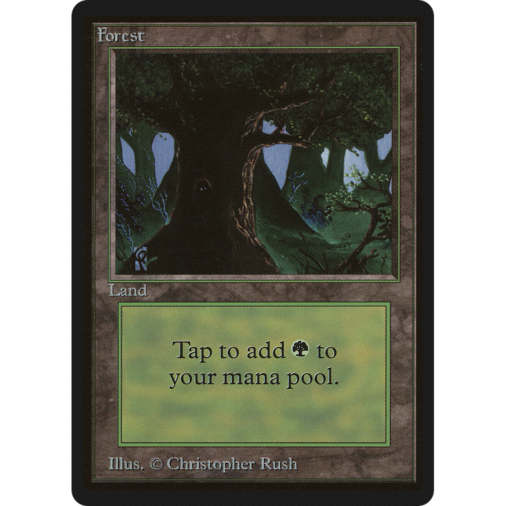 MTG Singles - Forest (V.3) - Beta - NM