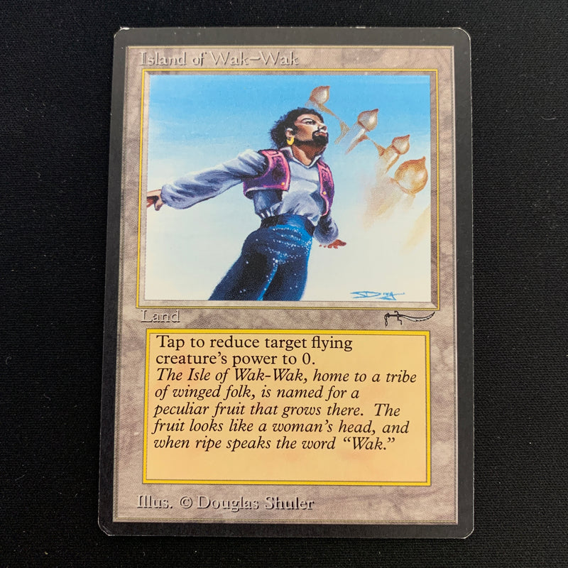 Magic the Gathering Island of Wak-Wak - Arabian Nights EX - 21246