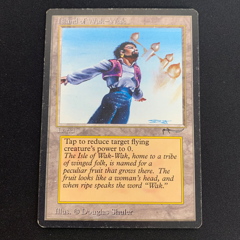 Magic the Gathering Island of Wak-Wak - Arabian Nights 