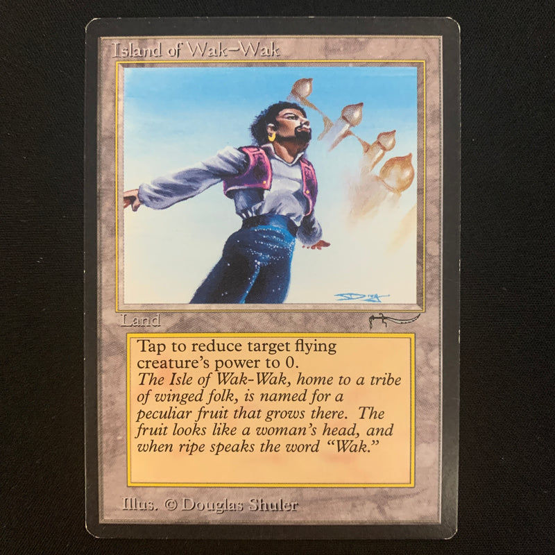 Magic the Gathering Island of Wak-Wak - Arabian Nights EX - 22941