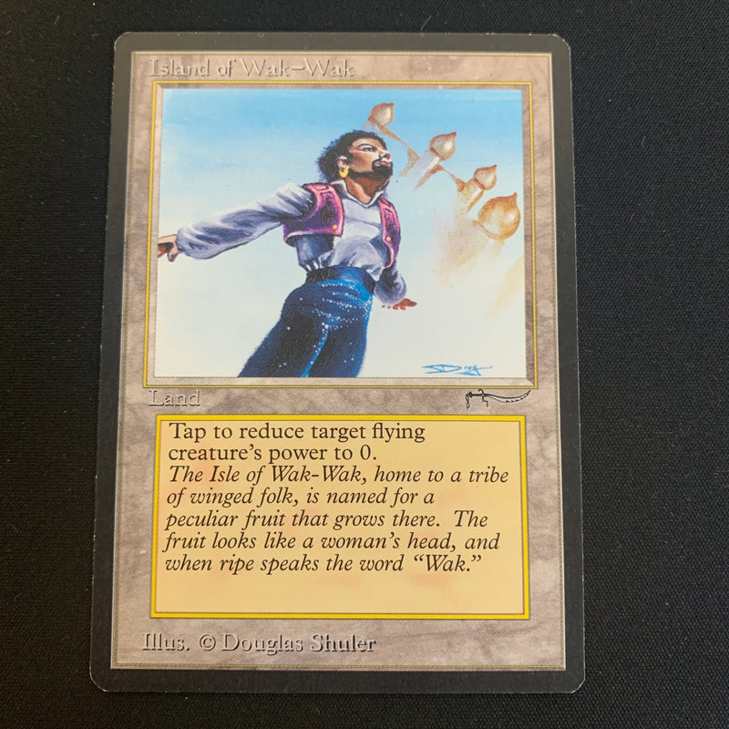 Magic the Gathering Island of Wak-Wak - Arabian Nights EX - 23008