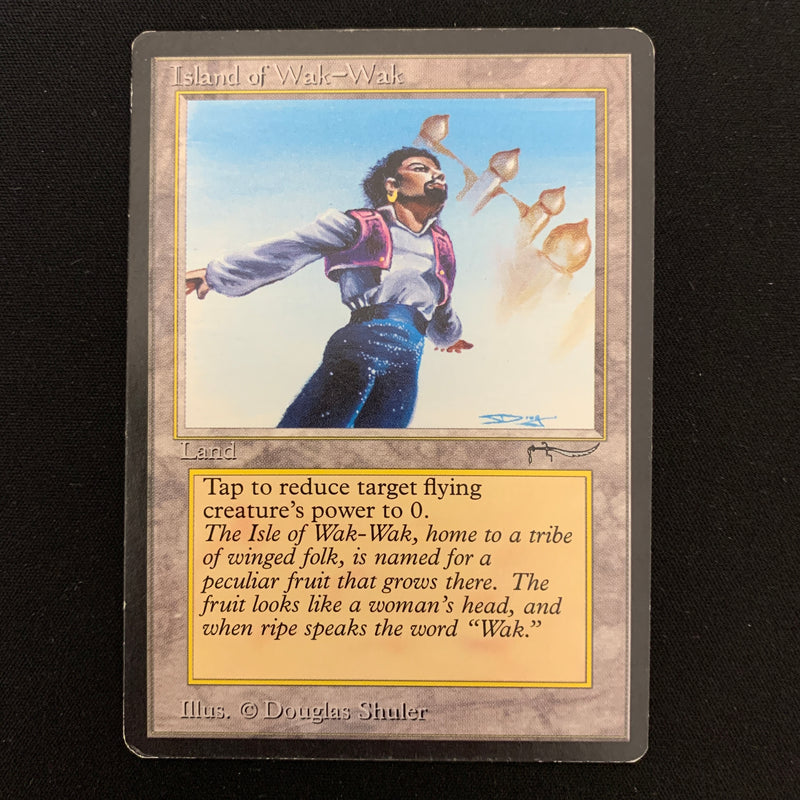 Magic the Gathering Island of Wak-Wak - Arabian Nights GD - 23131