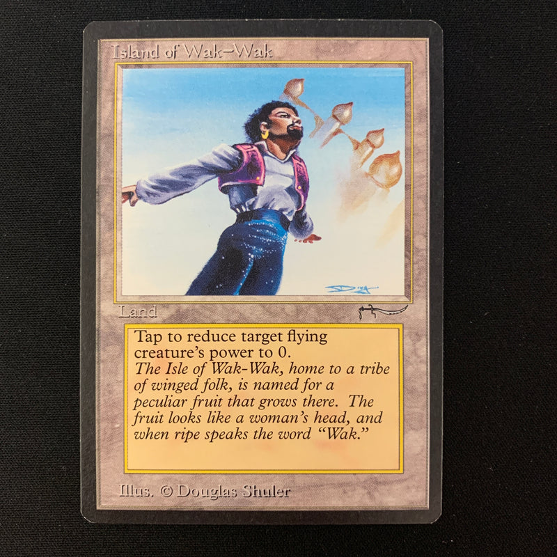 Magic the Gathering Island of Wak-Wak - Arabian Nights EX - 23595