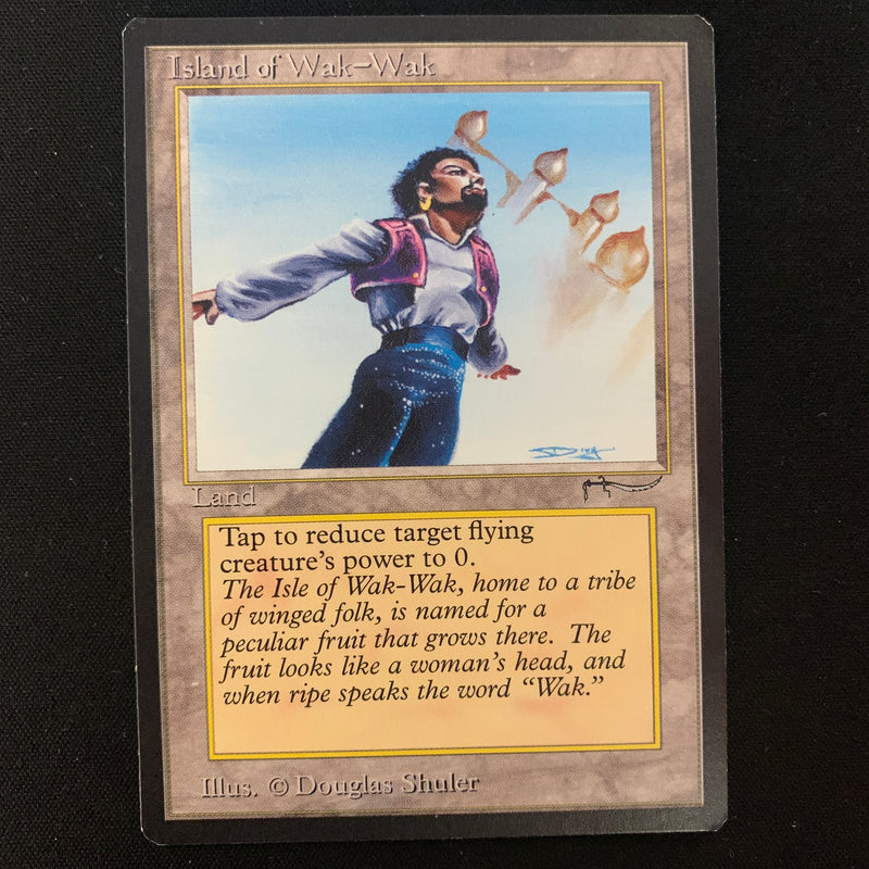 Magic the Gathering Island of Wak-Wak - Arabian Nights NM - 23878