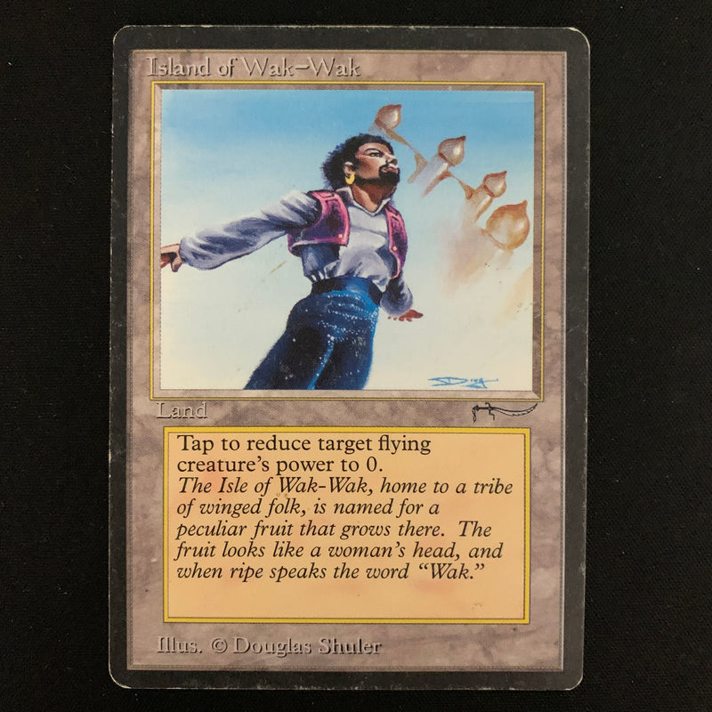 Magic the Gathering Island of Wak-Wak - Arabian Nights PL - 24293