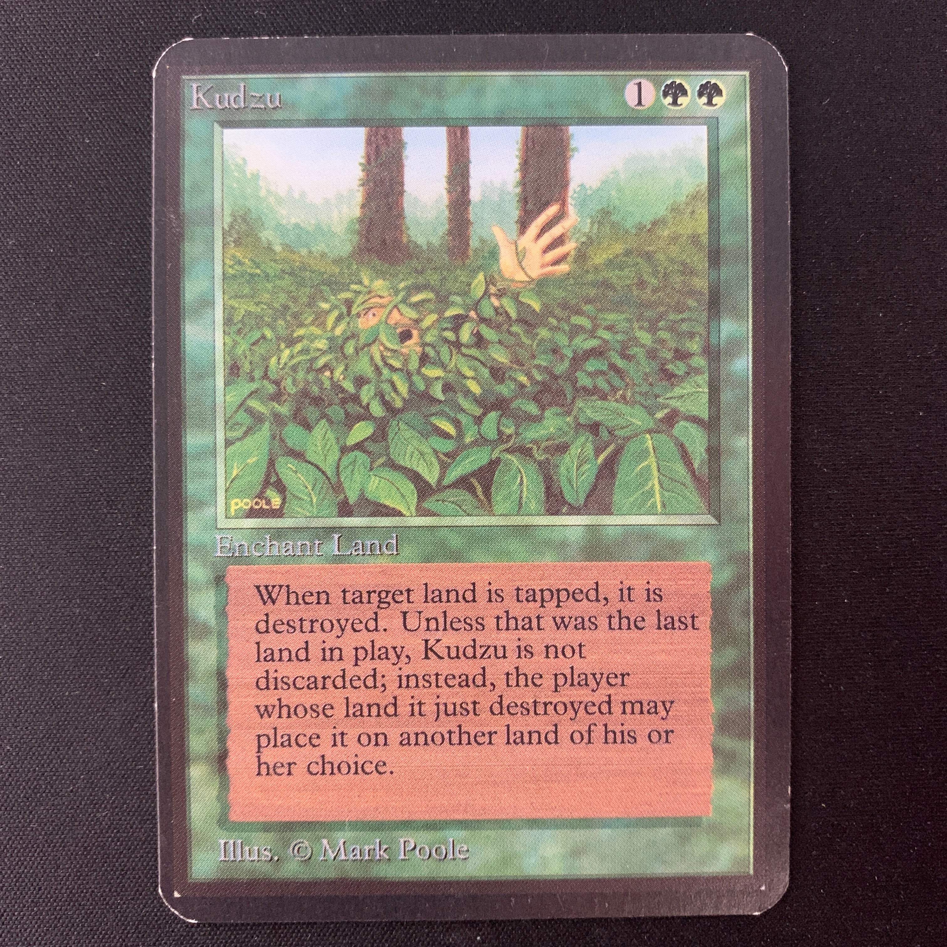 MTG Singles - Kudzu - Alpha - 