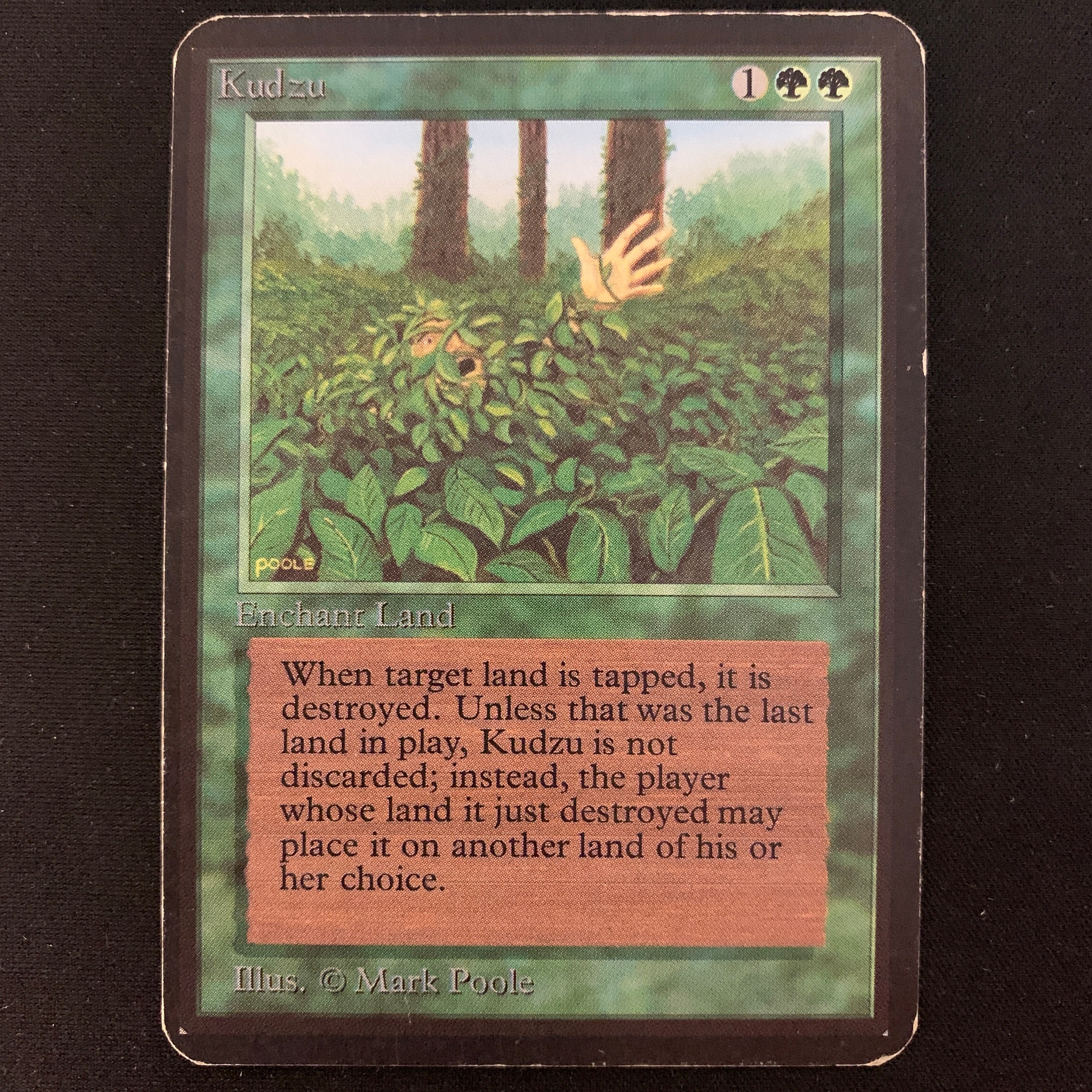 MTG Singles - Kudzu - Alpha - 