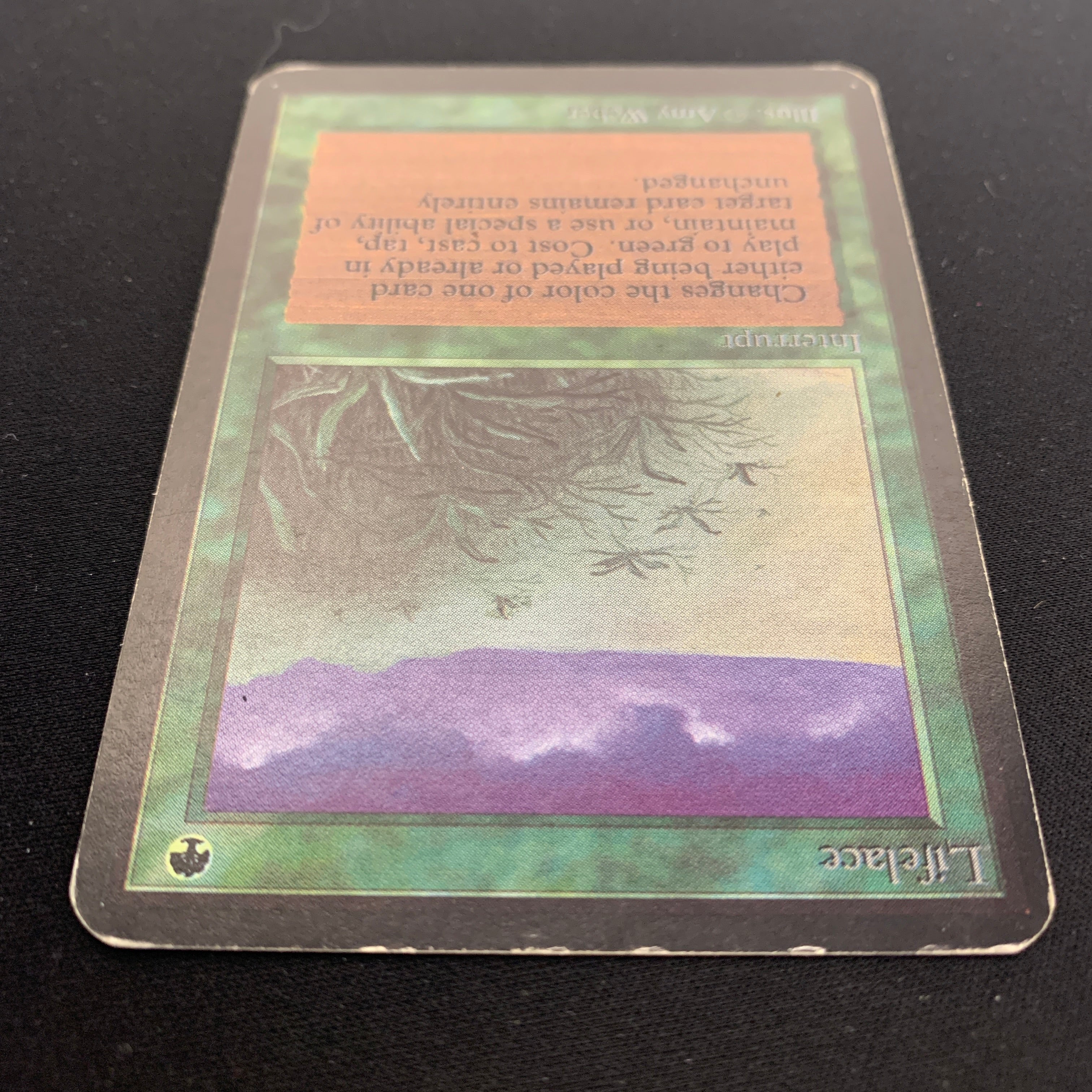 MTG Singles - Lifelace - Alpha - 