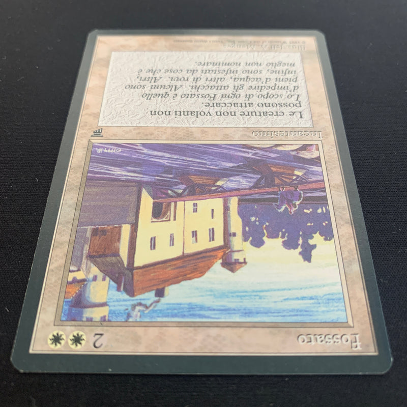 Magic the Gathering Moat - Legends Italian 