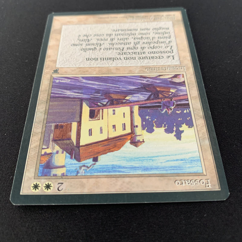 Magic the Gathering Moat - Legends Italian 