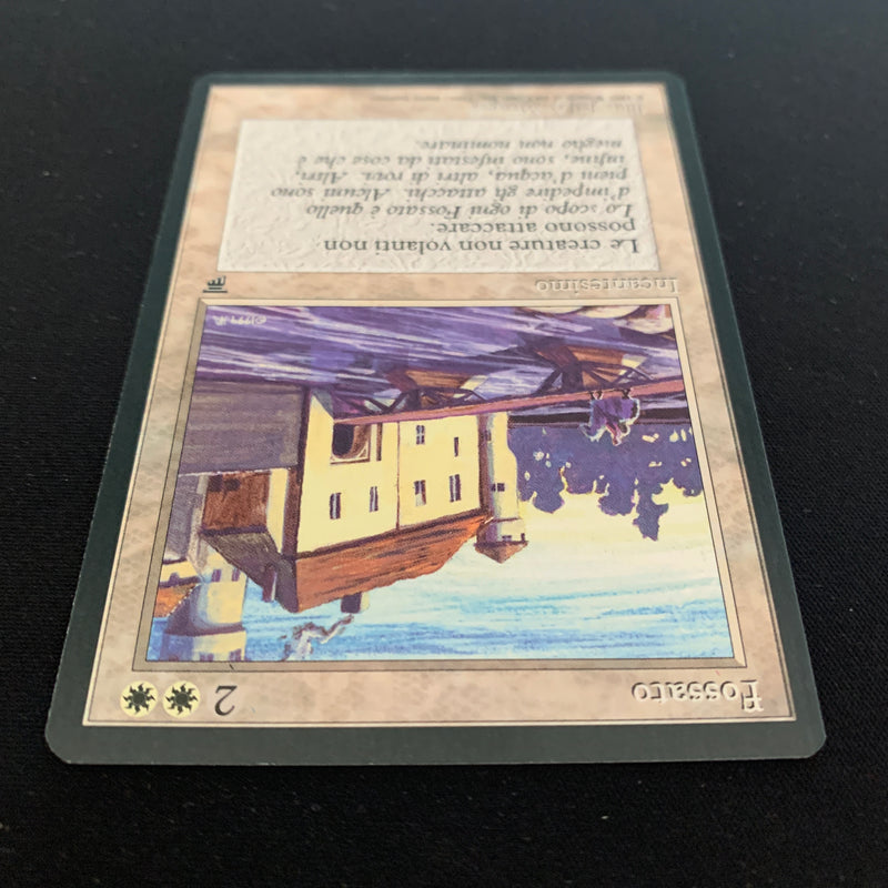 Magic the Gathering Moat - Legends Italian 