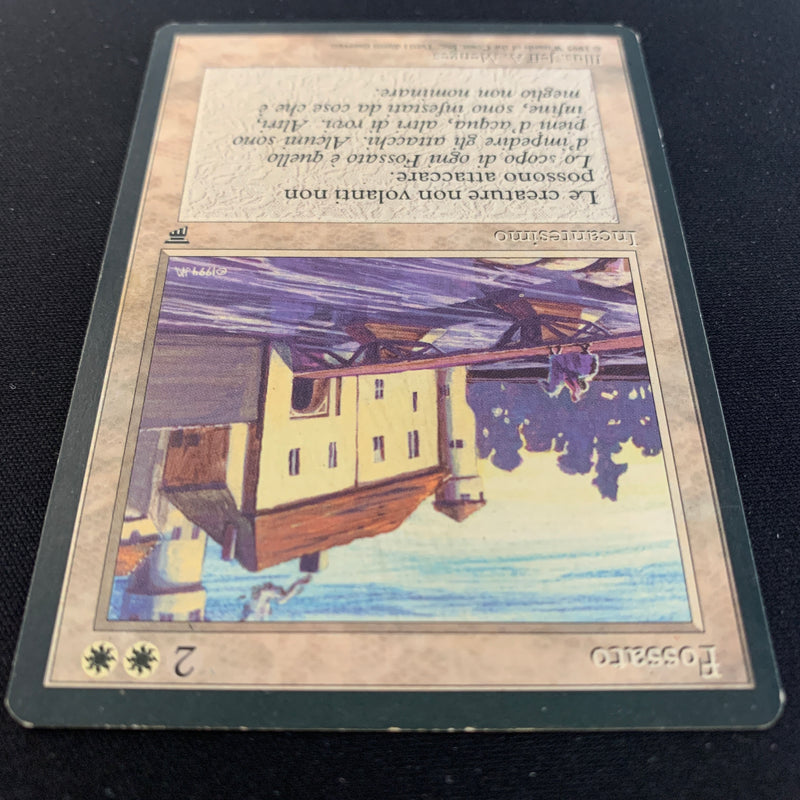 Magic the Gathering Moat - Legends Italian 