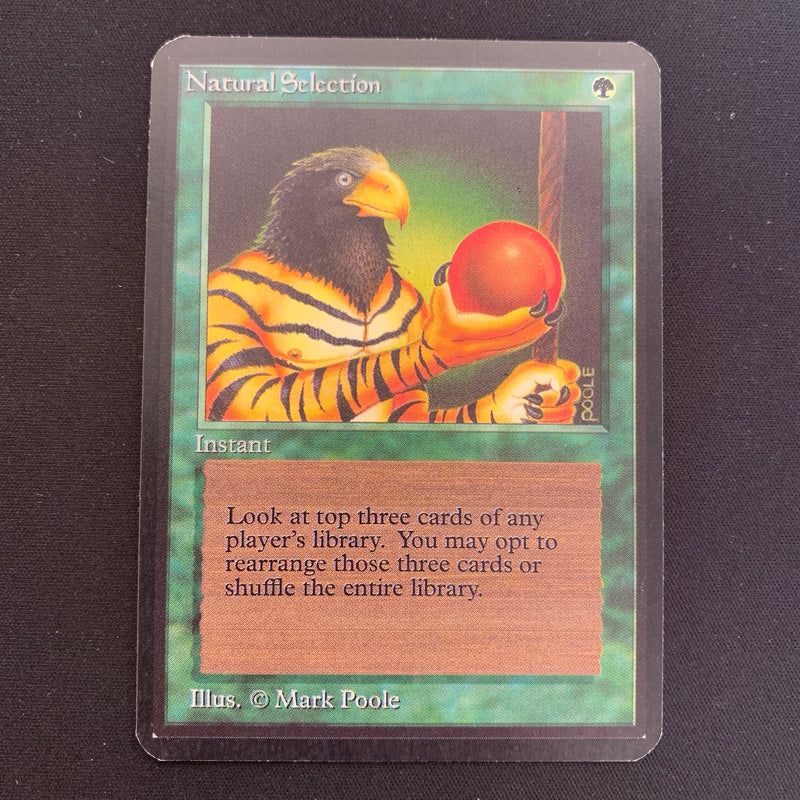 Magic the Gathering Natural Selection - Alpha EX - 21342