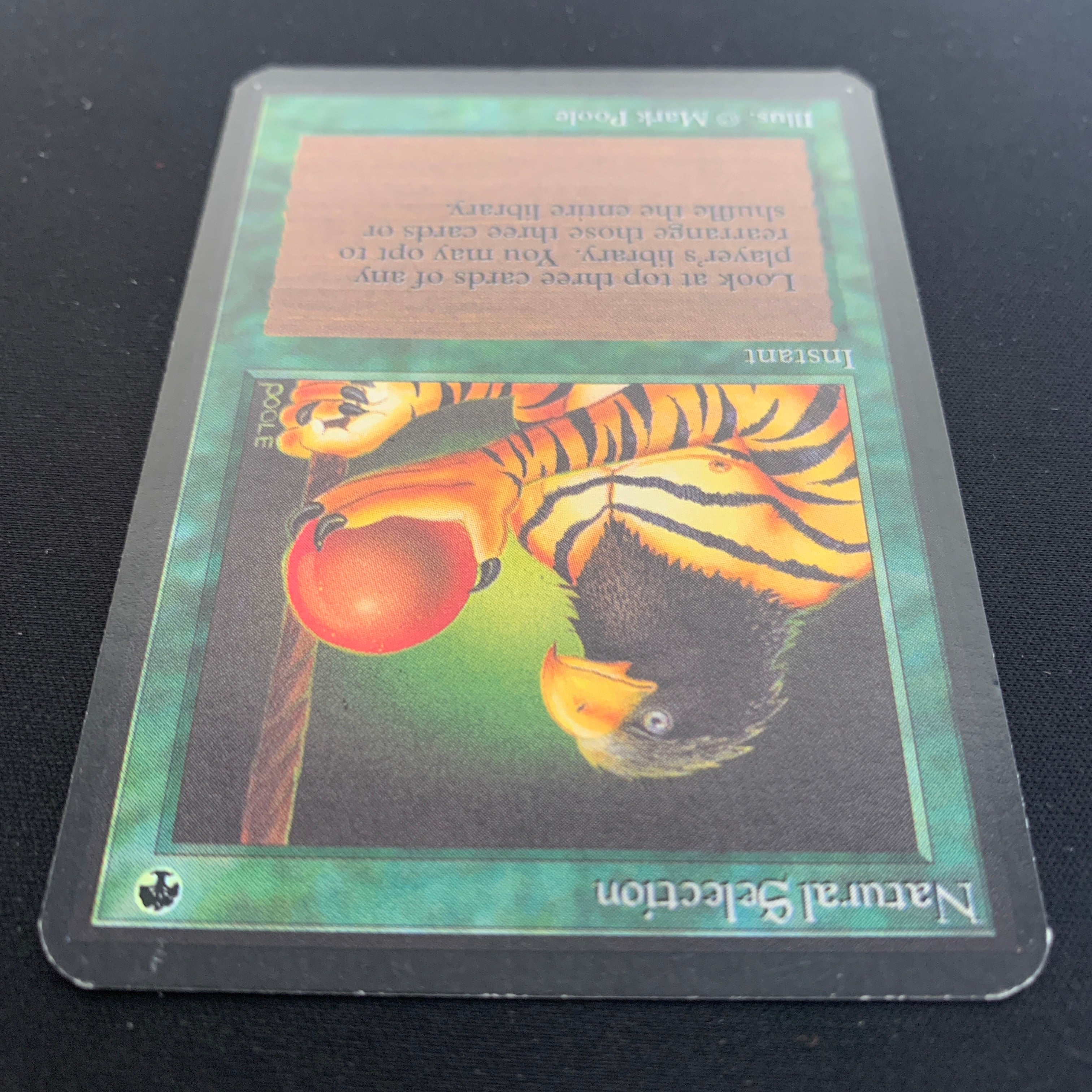 MTG Singles - Natural Selection - Alpha - 