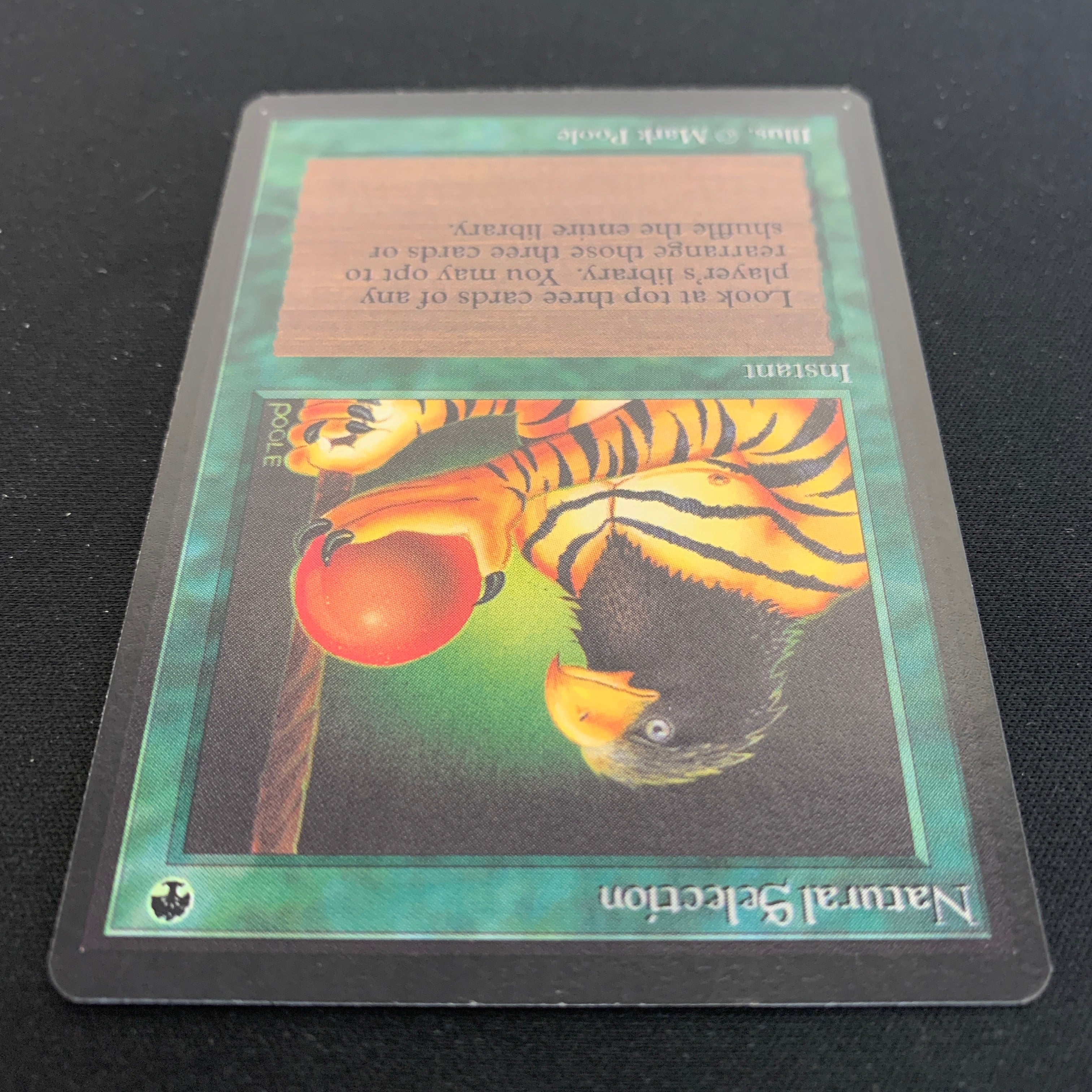 MTG Singles - Natural Selection - Beta - 