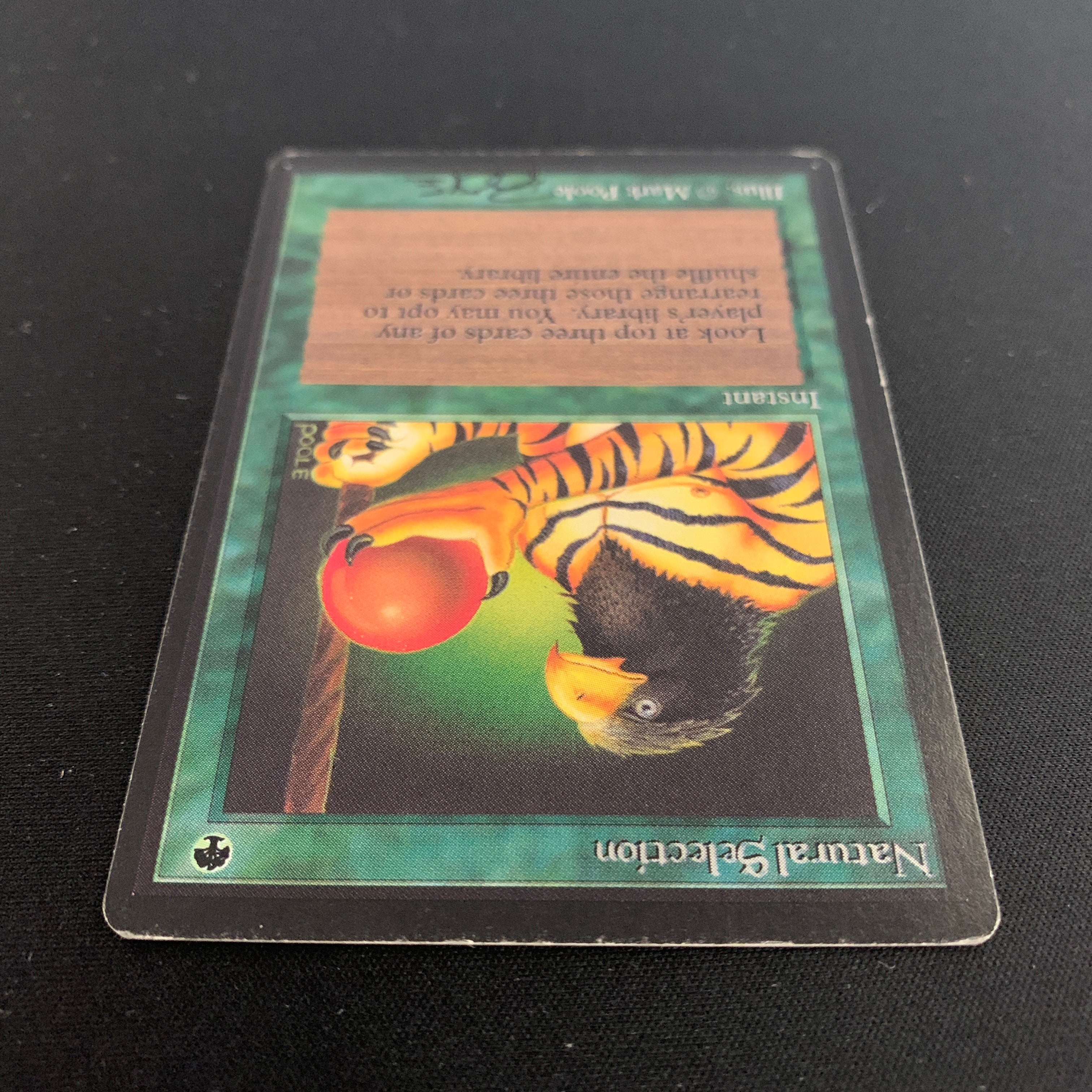 MTG Singles - Natural Selection - Beta - 
