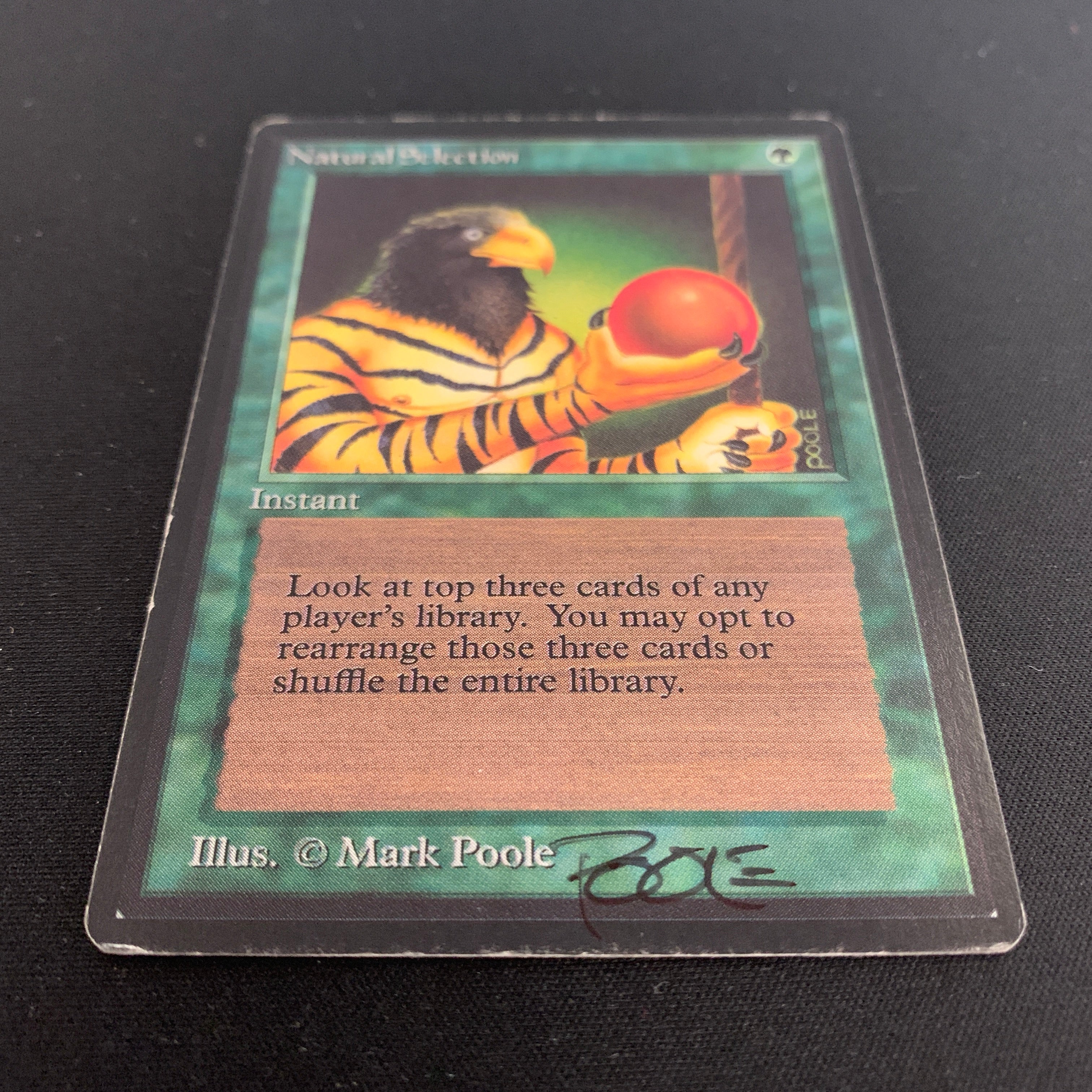 MTG Singles - Natural Selection - Beta - 