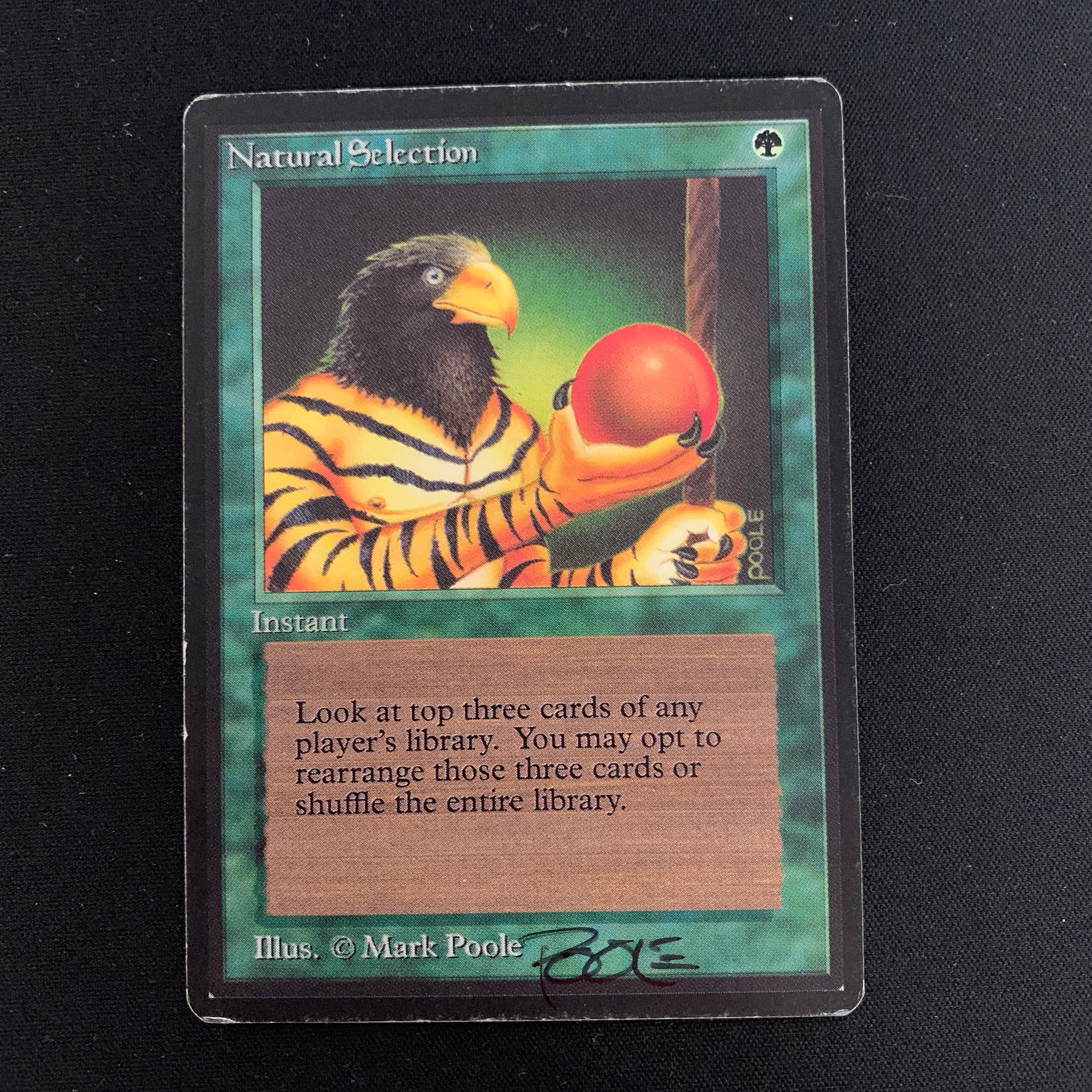 MTG Singles - Natural Selection - Beta - 