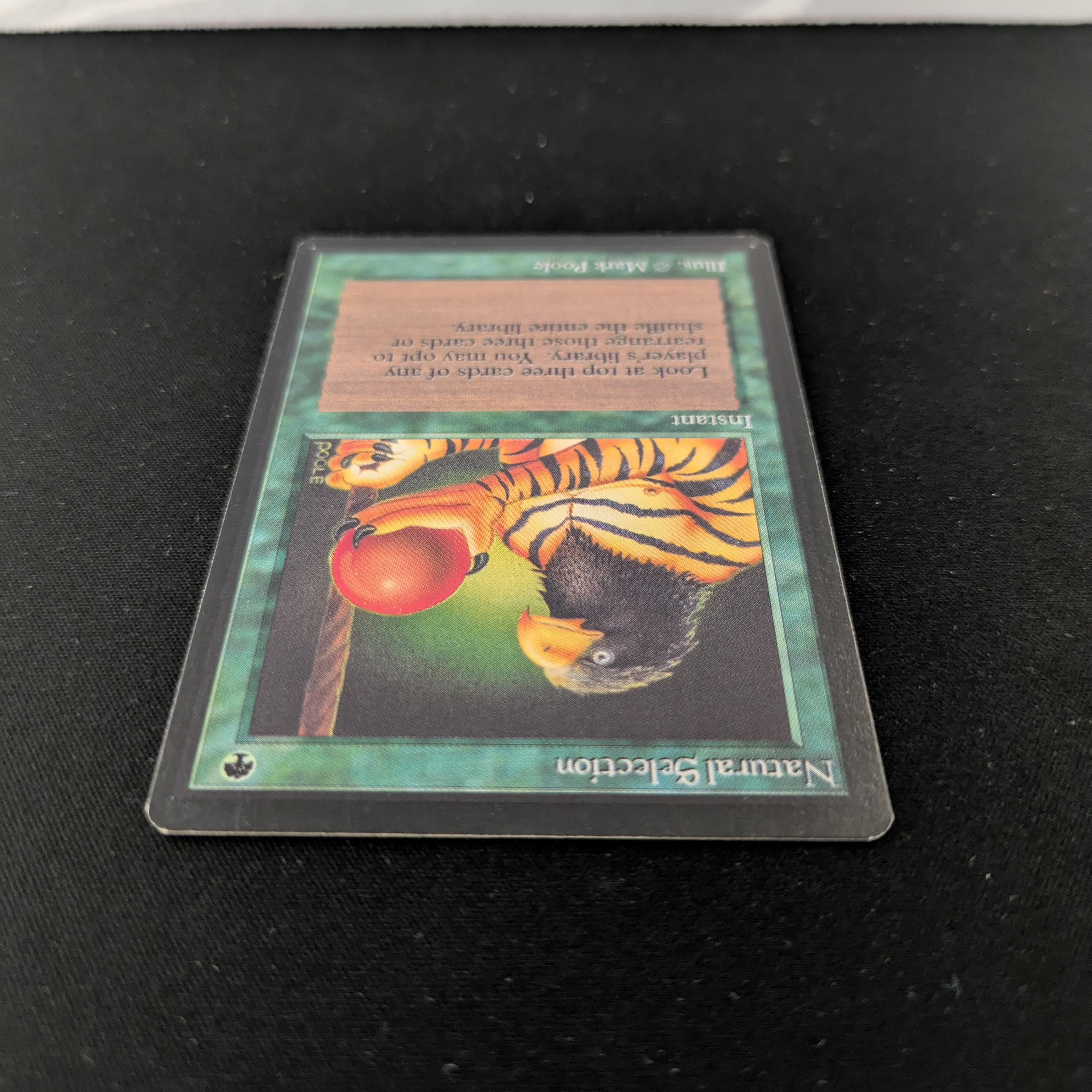MTG Singles - Natural Selection - Beta - 