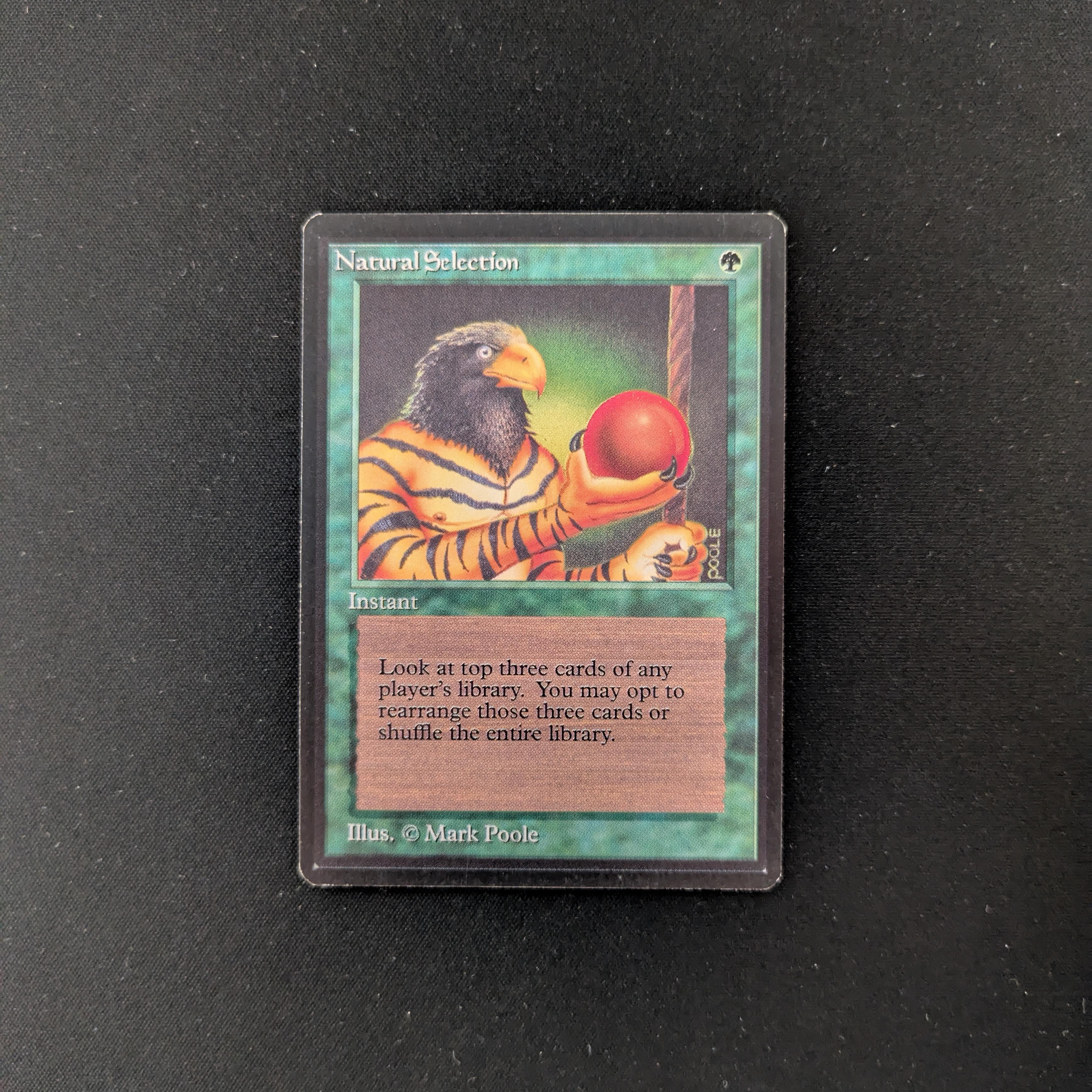 MTG Singles - Natural Selection - Beta - 