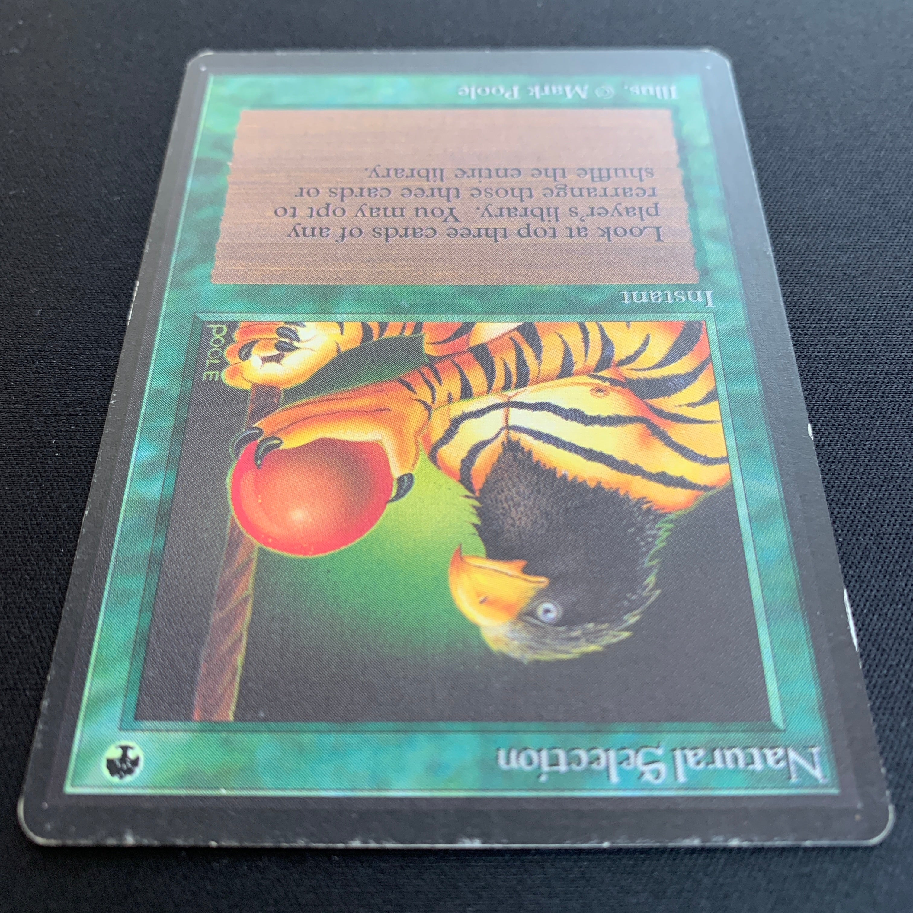 MTG Singles - Natural Selection - Beta - 