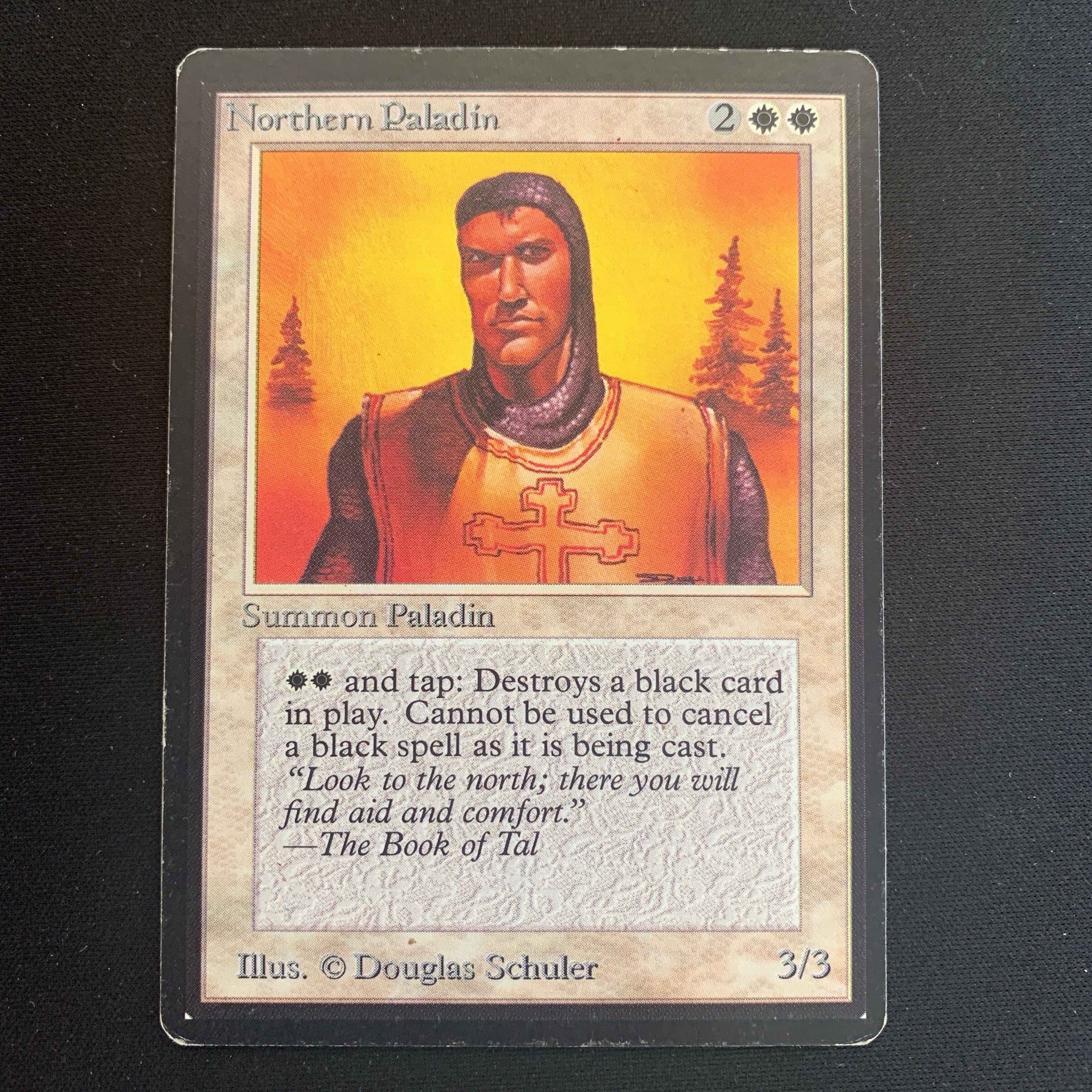 MTG Singles - Northern Paladin - Beta - 