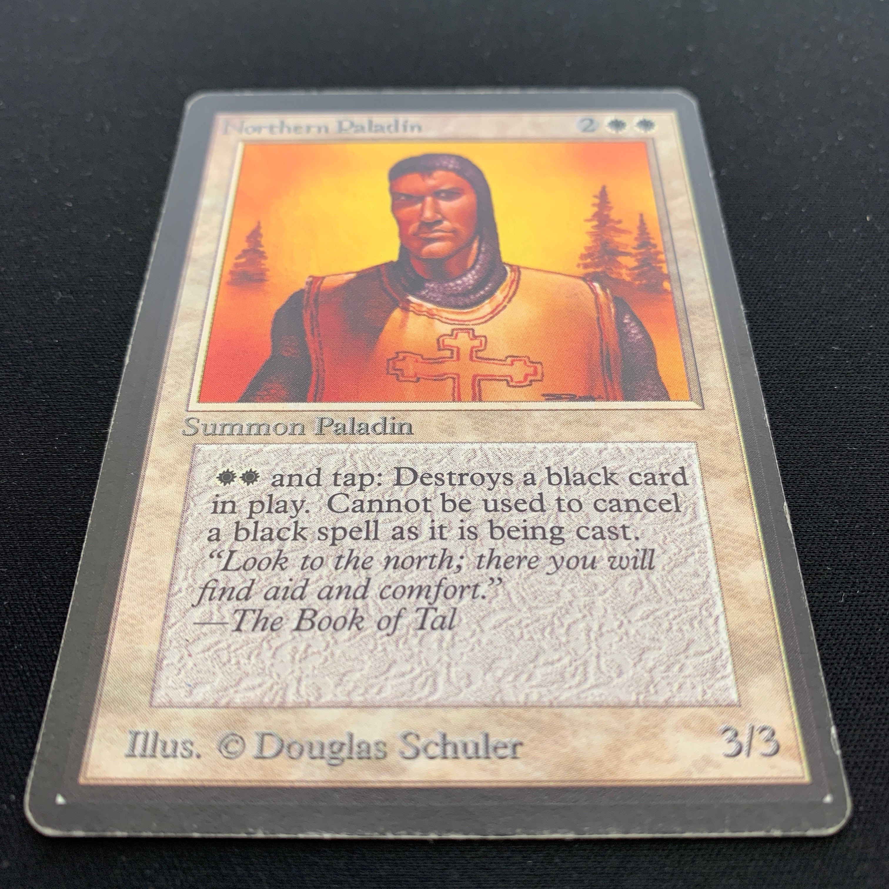 MTG Singles - Northern Paladin - Beta - 