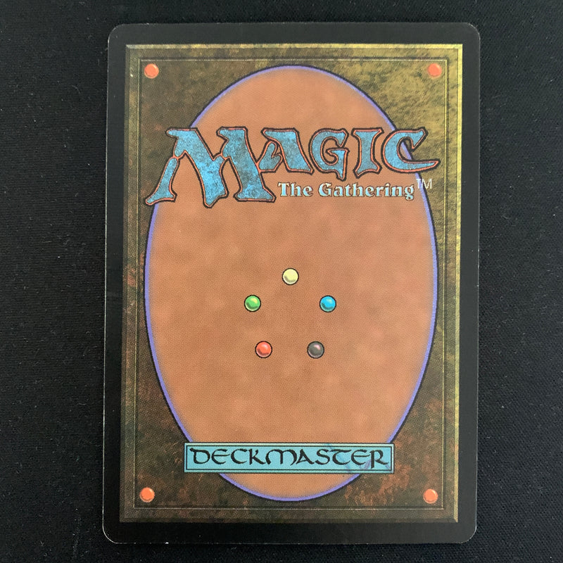 Magic the Gathering Plains - Guru Lands - NM 