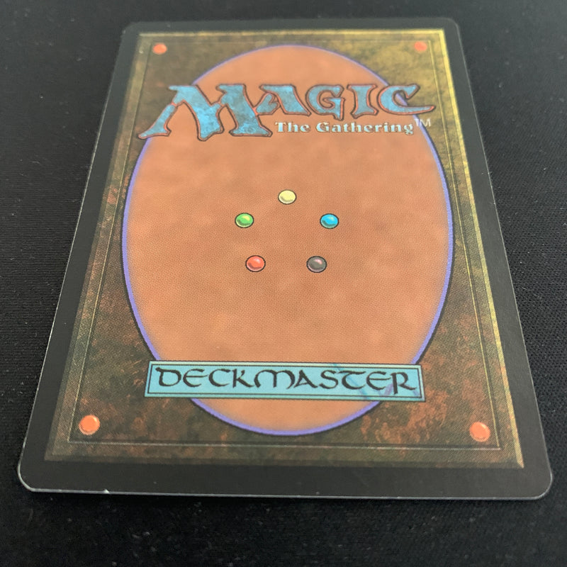 Magic the Gathering Plains - Guru Lands - NM 