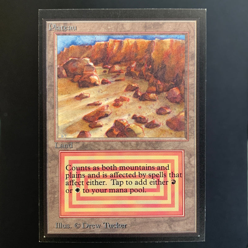 Magic the Gathering Plateau - International Edition 