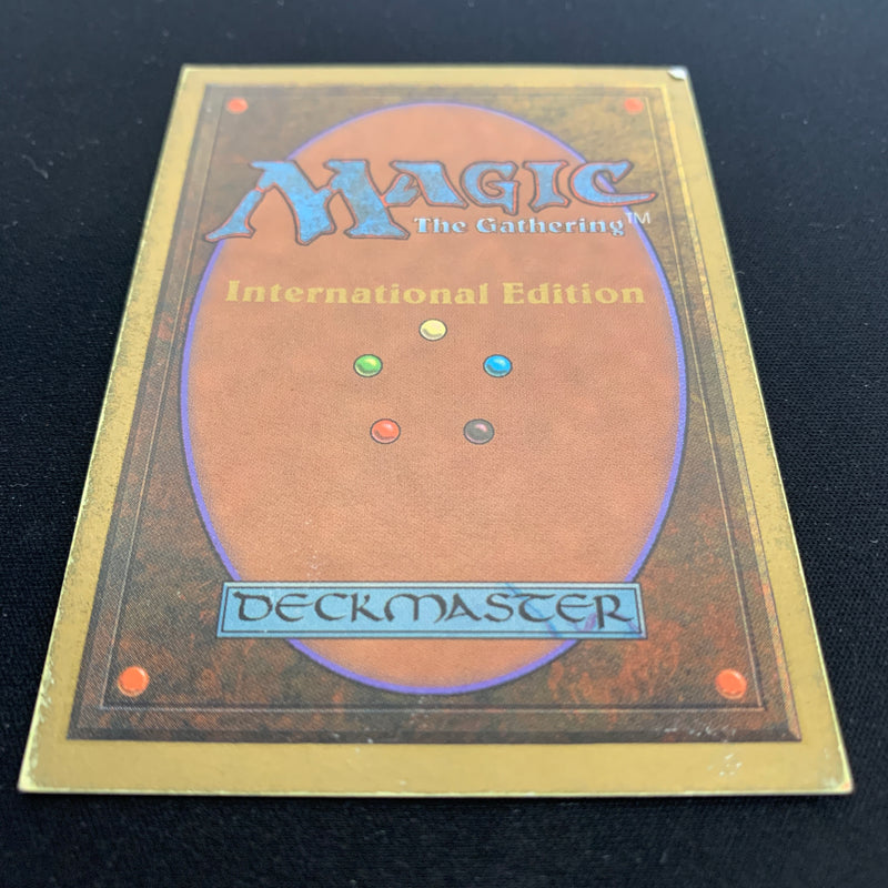 Magic the Gathering Plateau - International Edition 