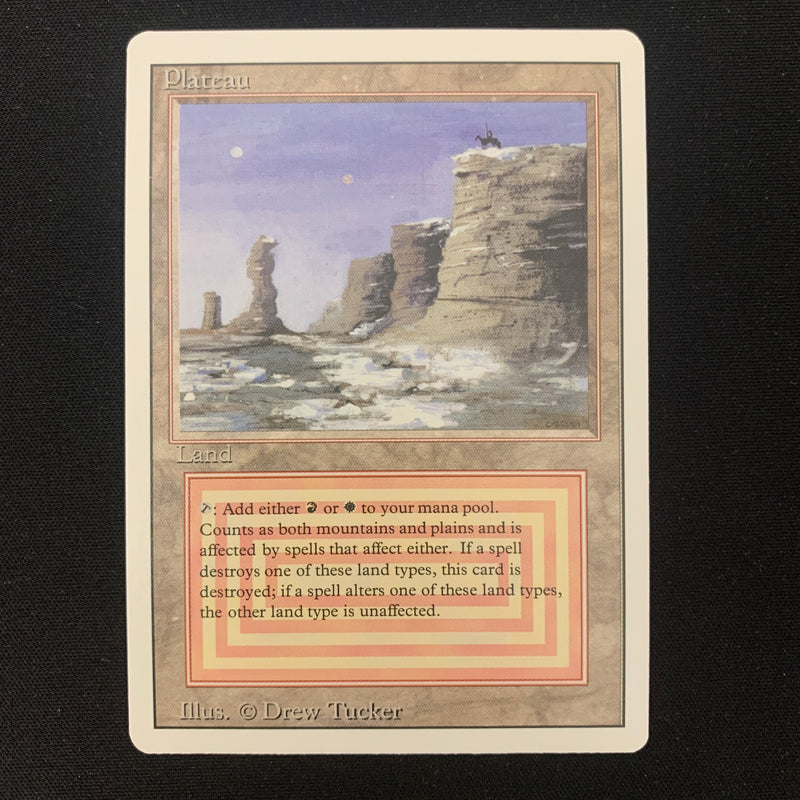 Magic the Gathering Plateau - Revised 