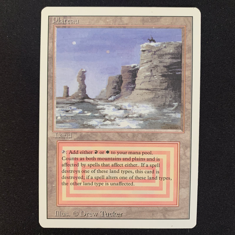 Magic the Gathering Plateau - Revised EX - 24320